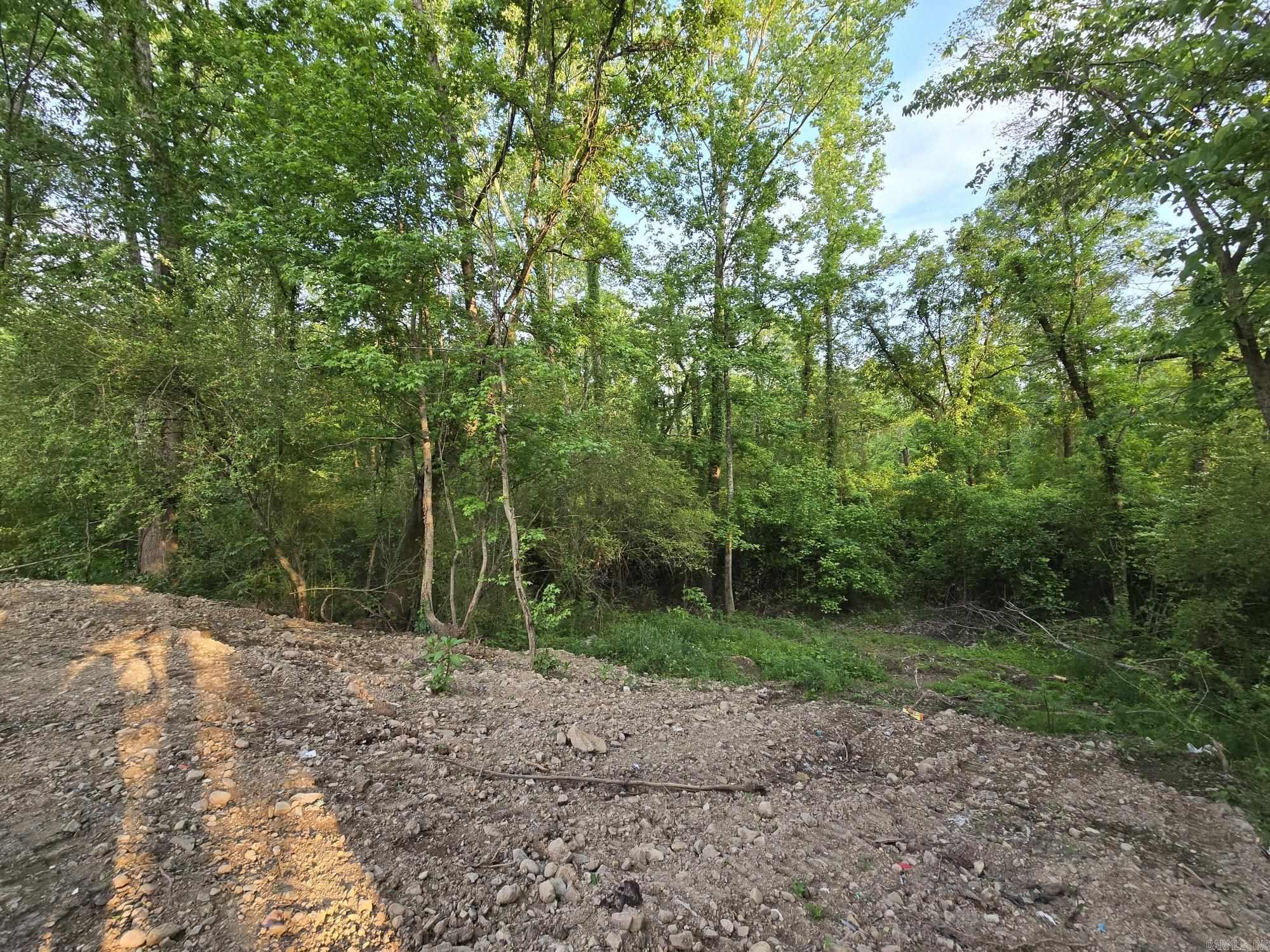 230  Comet  Mountain Pine, AR