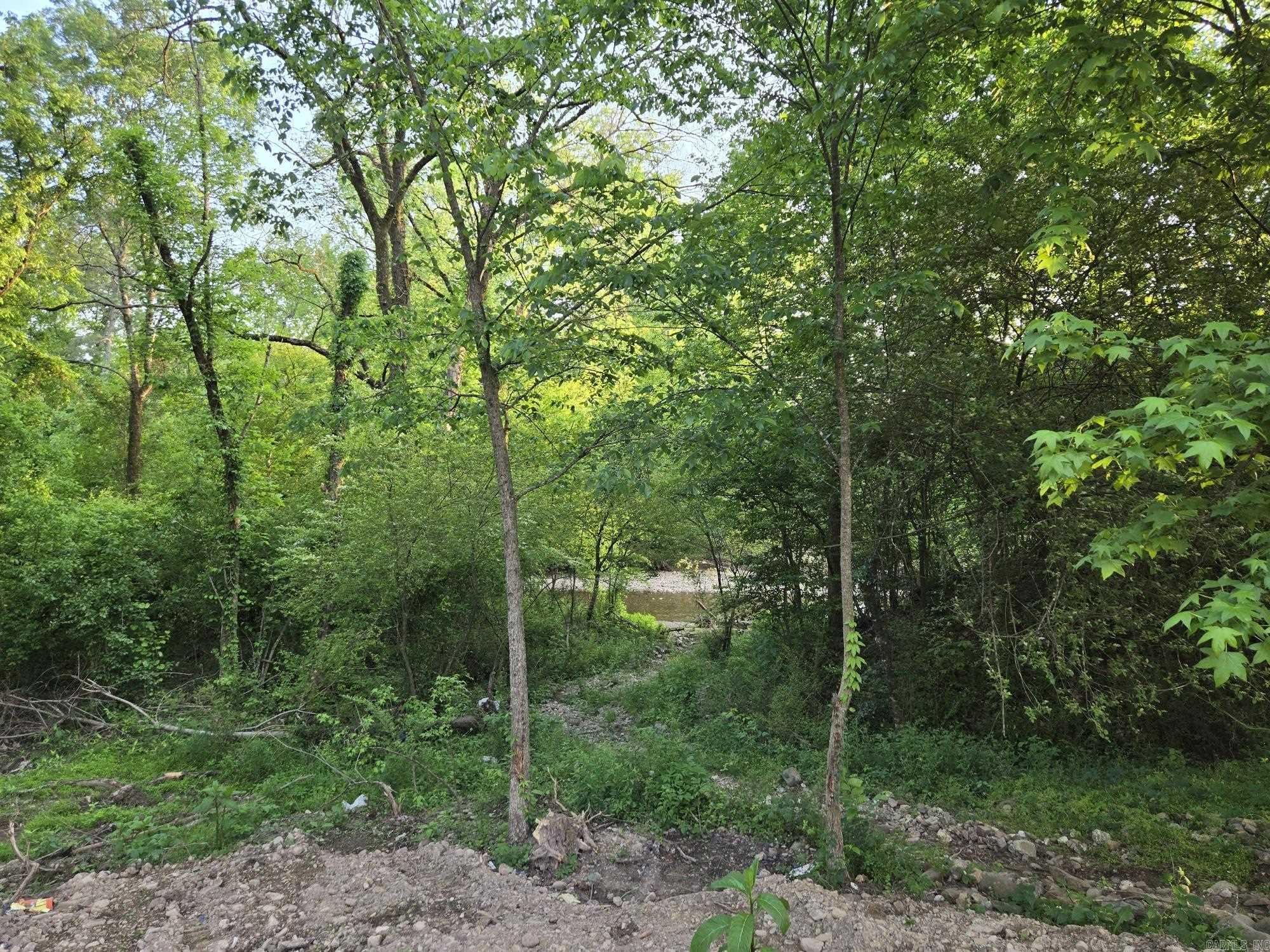 230  Comet  Mountain Pine, AR