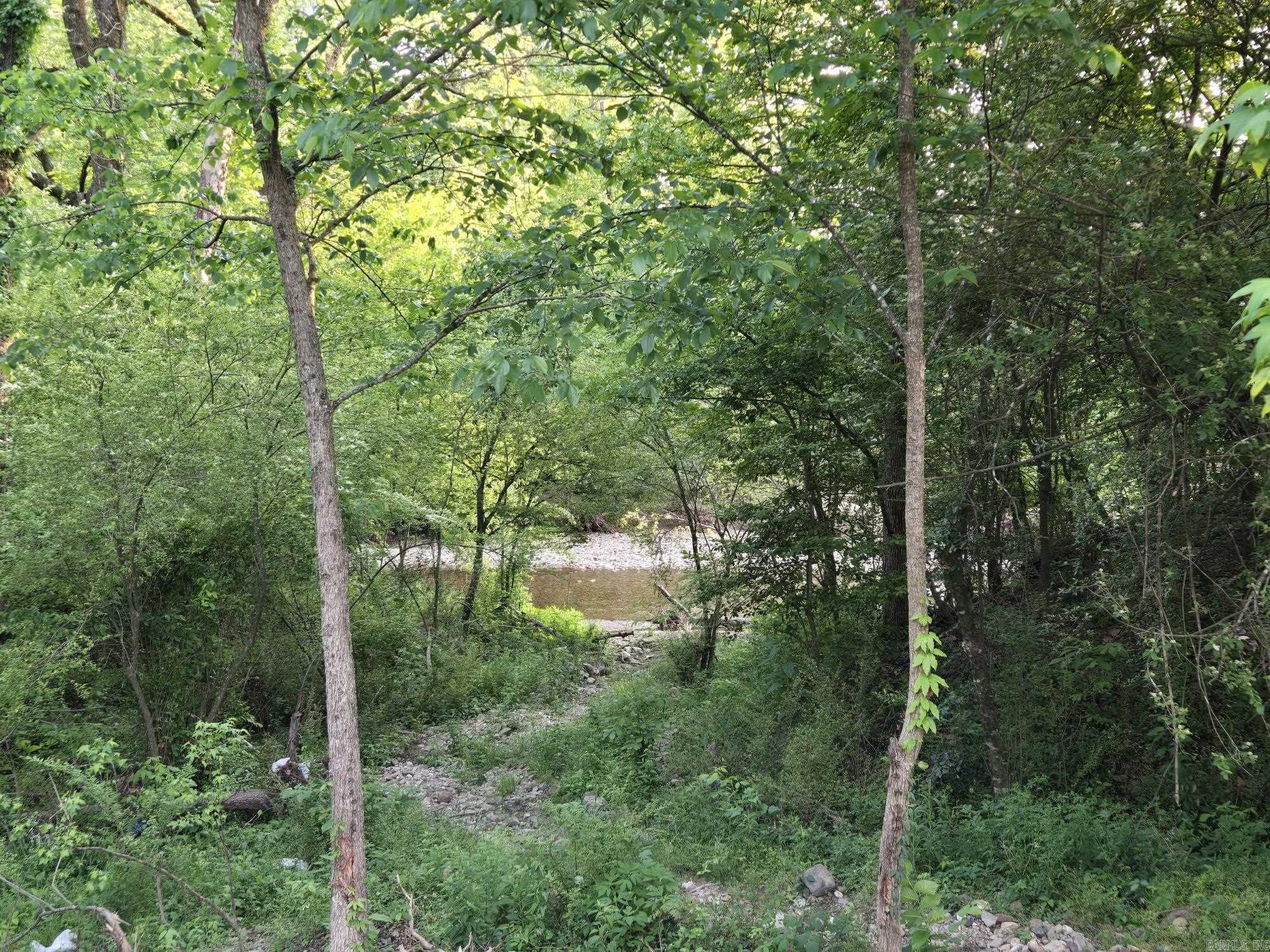 230  Comet  Mountain Pine, AR