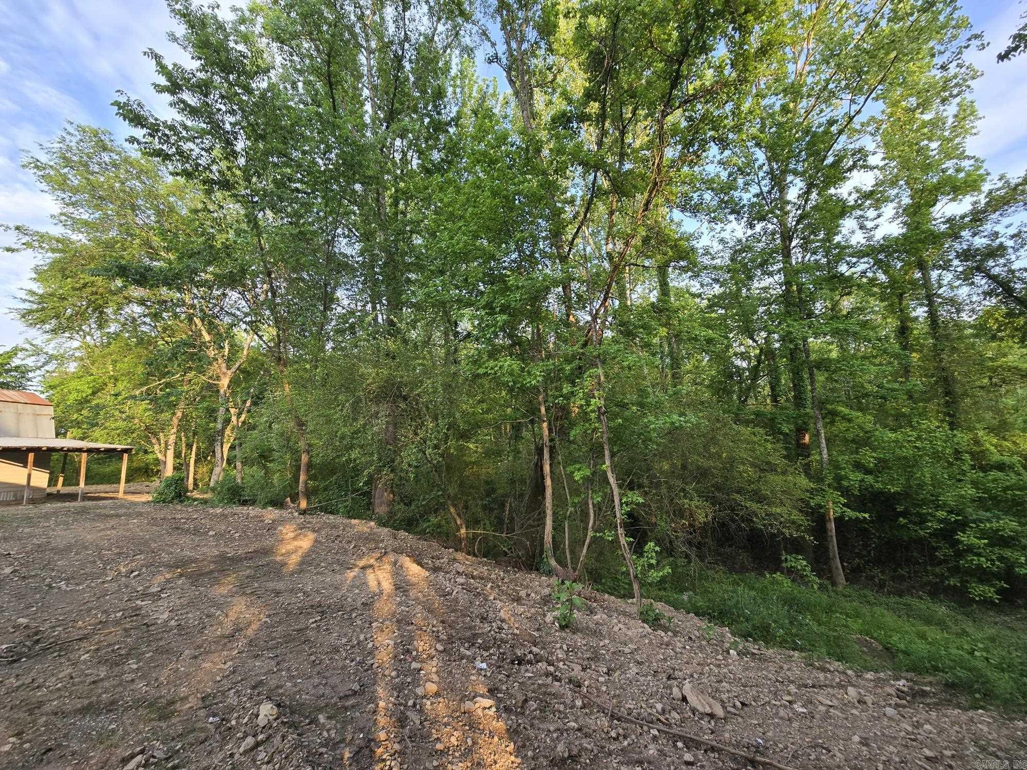 230  Comet  Mountain Pine, AR
