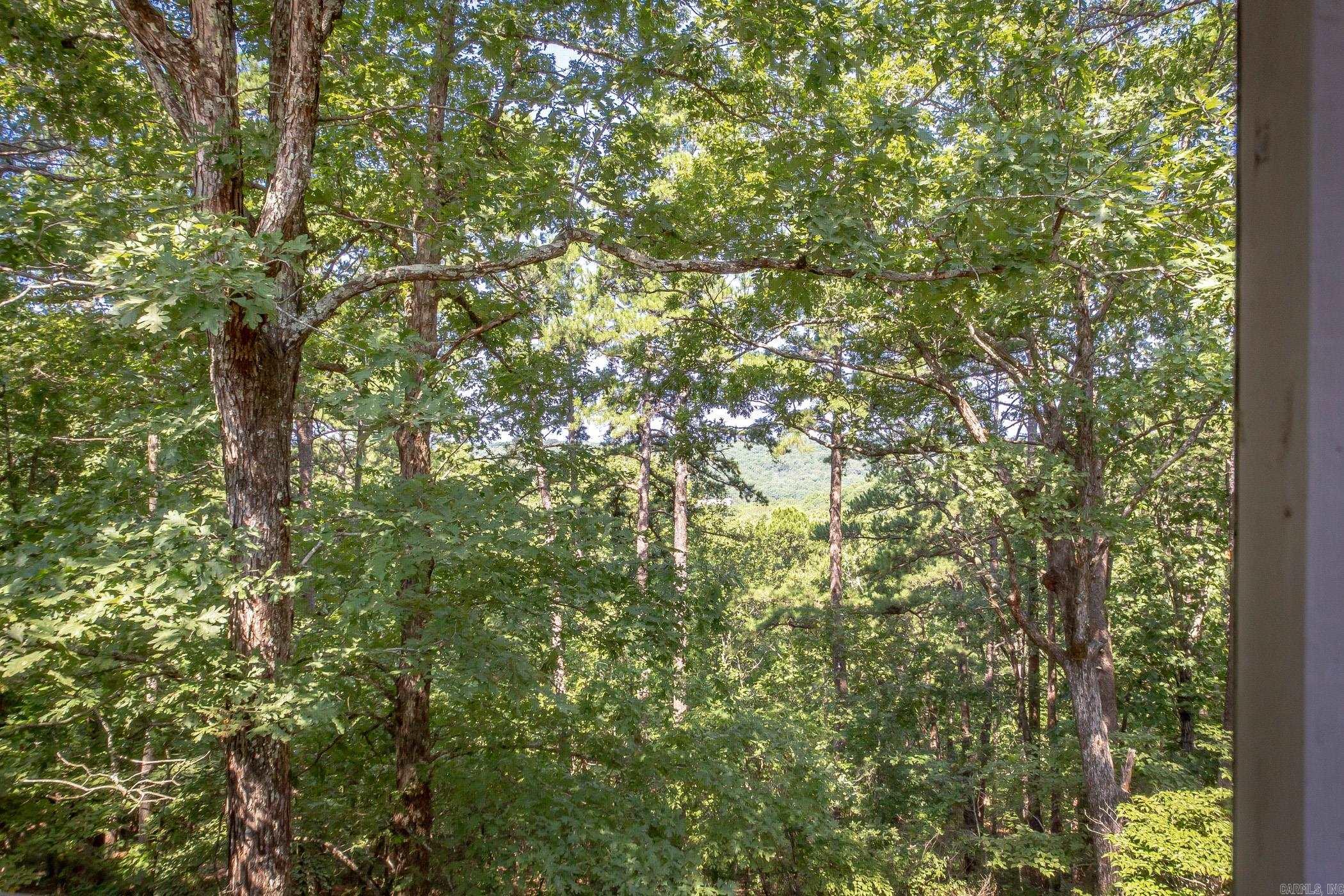 112  Ridgeview  Fairfield Bay, AR