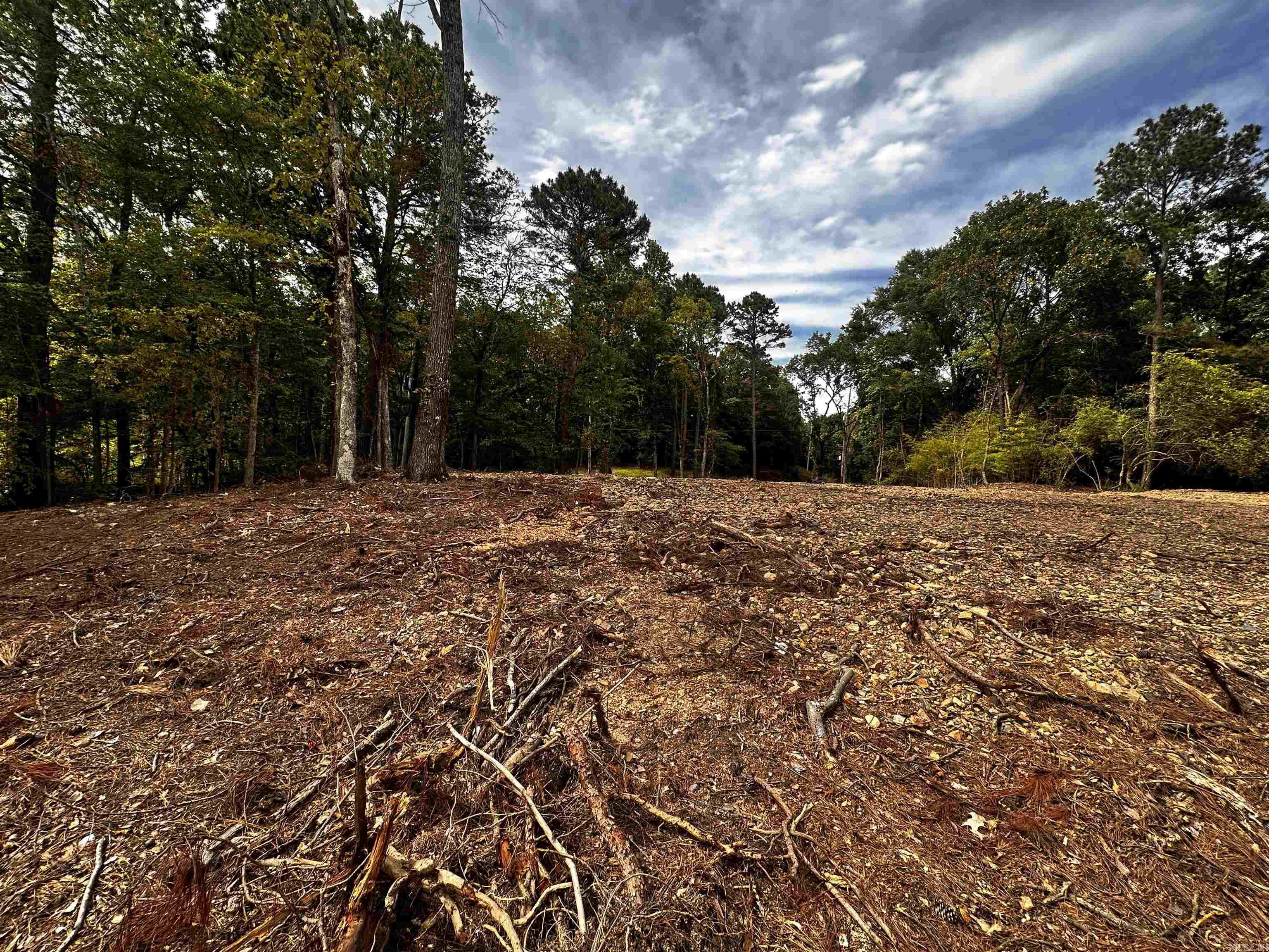 Lot 2  Majestic Lodge  Hot Springs, AR