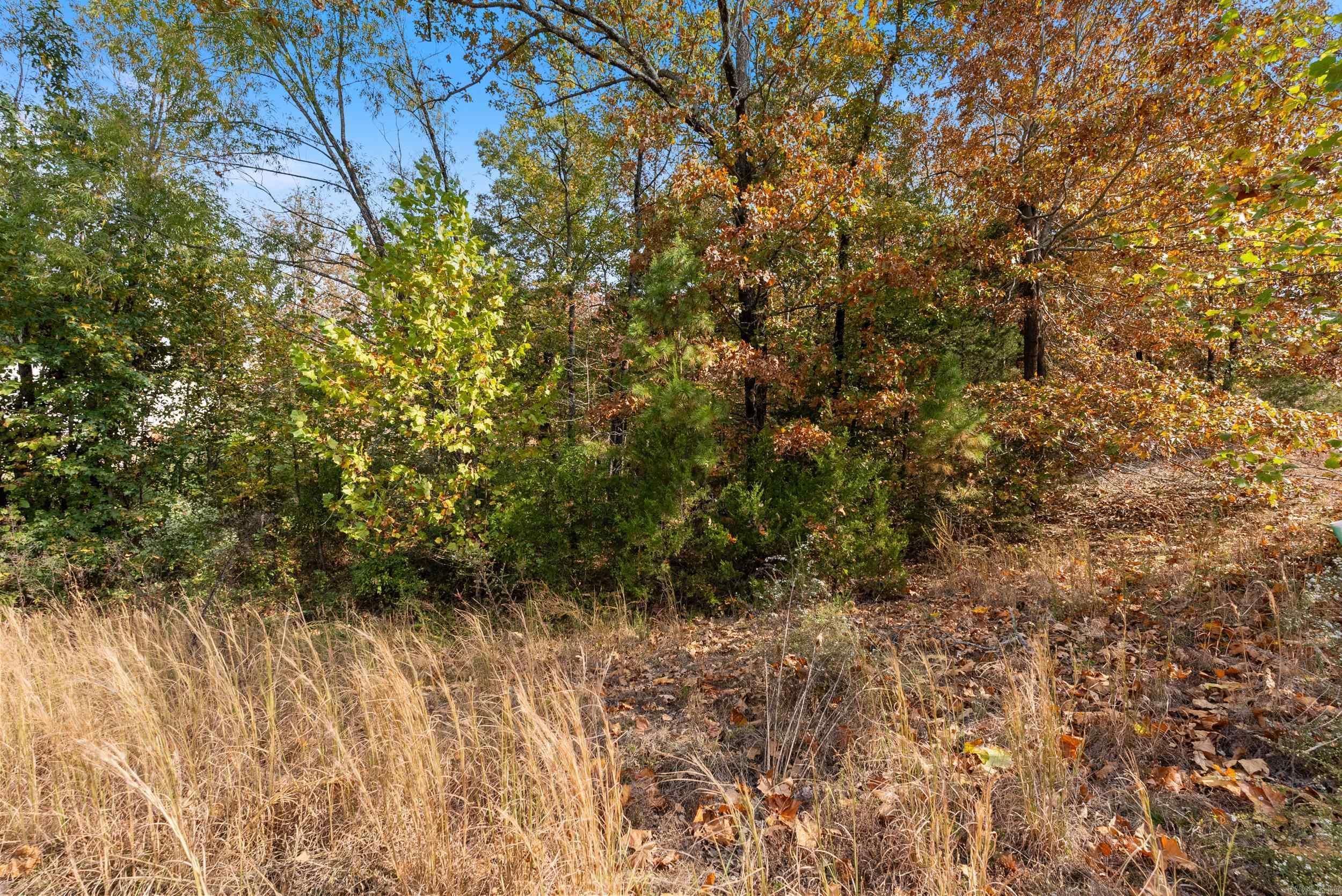 5920  Brush Creek Loop  Conway, AR