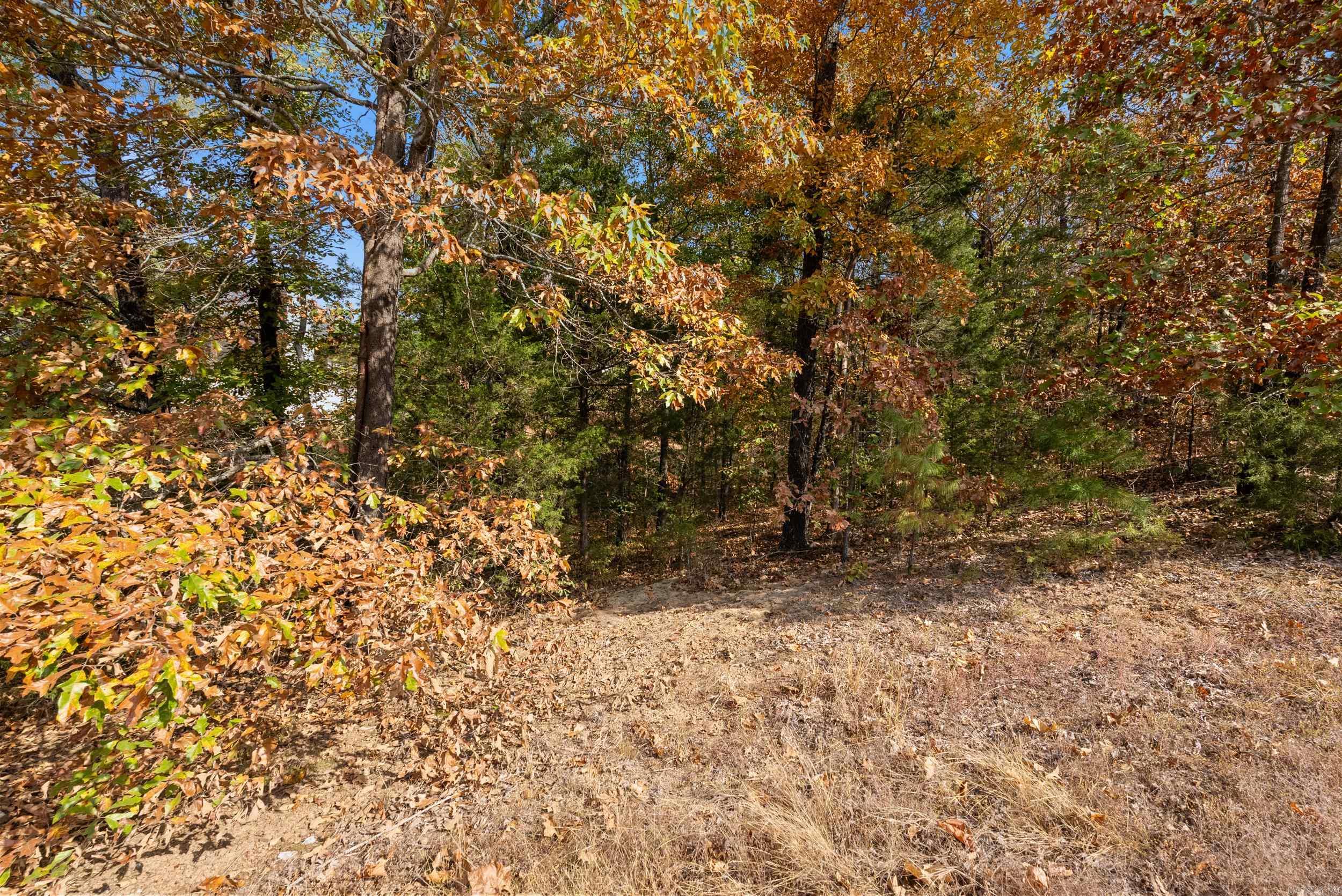 5920  Brush Creek Loop  Conway, AR