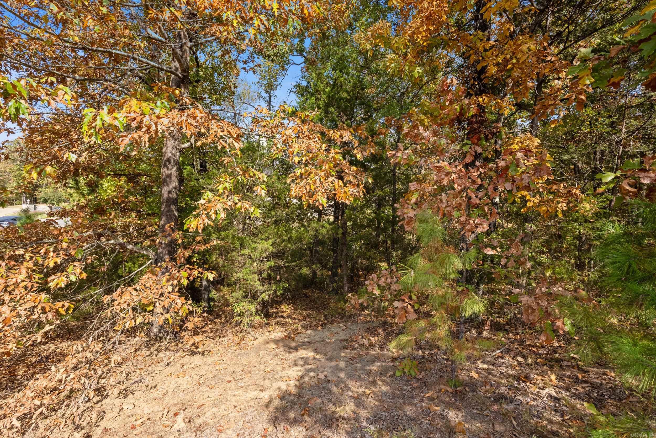 5920  Brush Creek Loop  Conway, AR