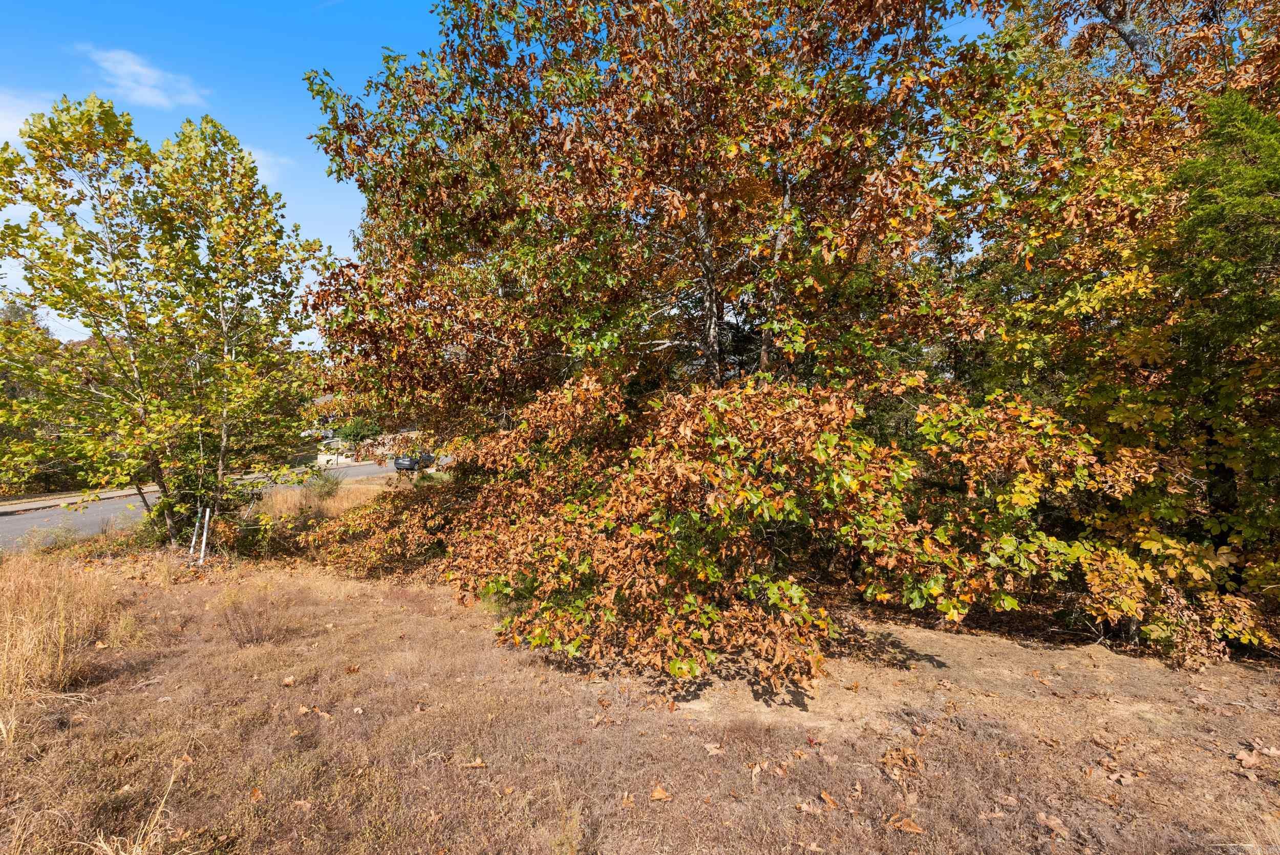 5920  Brush Creek Loop  Conway, AR