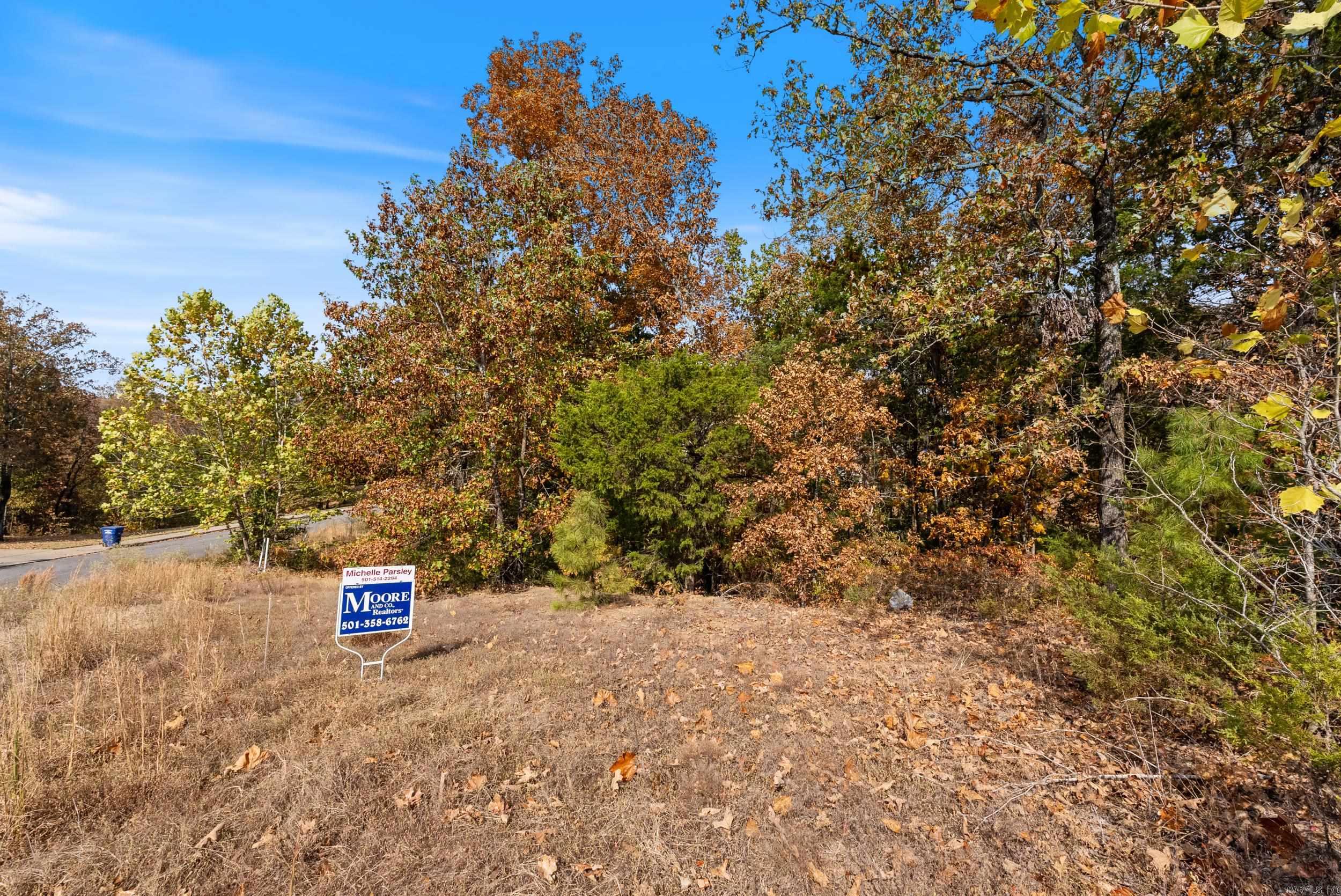 5920  Brush Creek Loop  Conway, AR