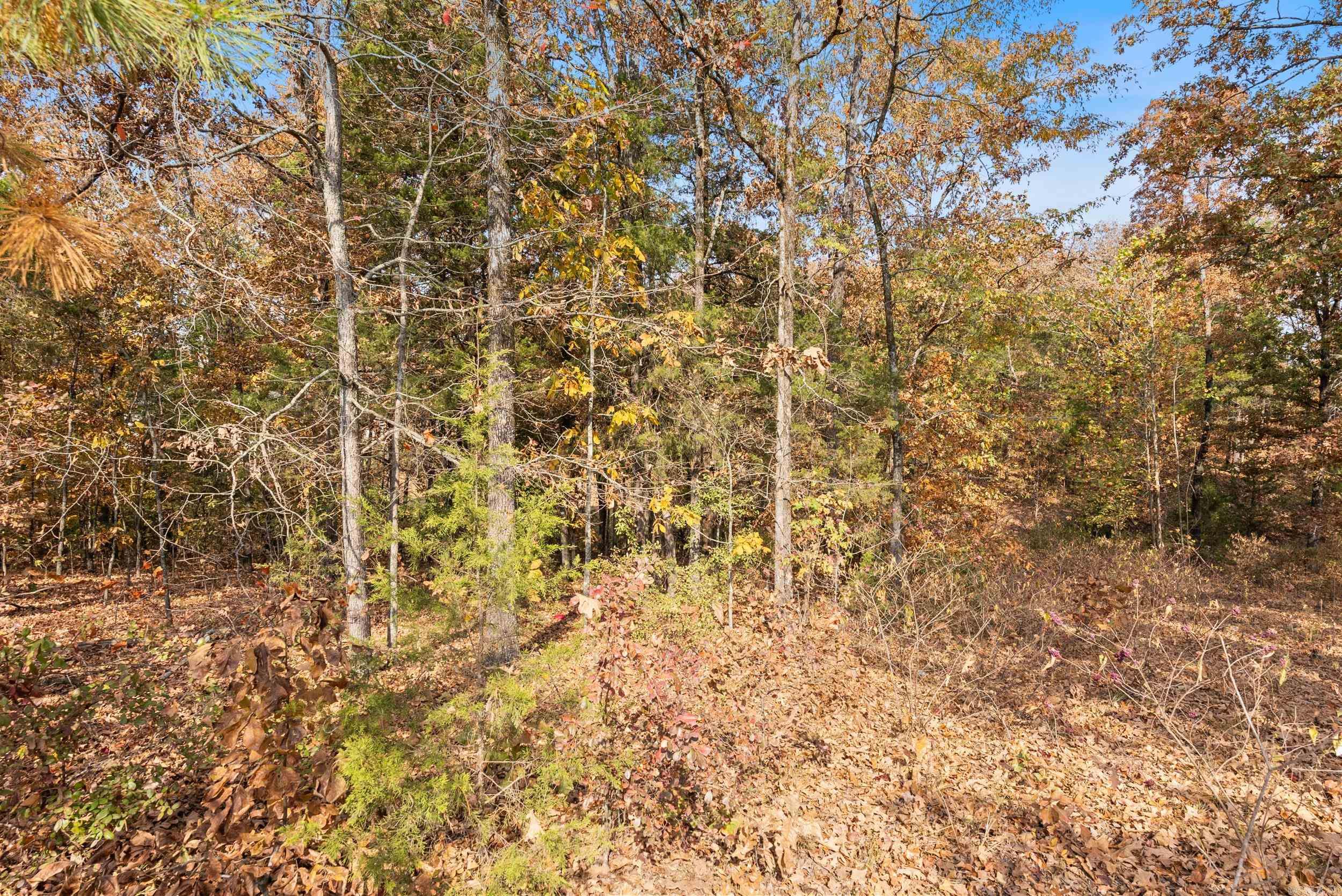 5920  Brush Creek Loop  Conway, AR