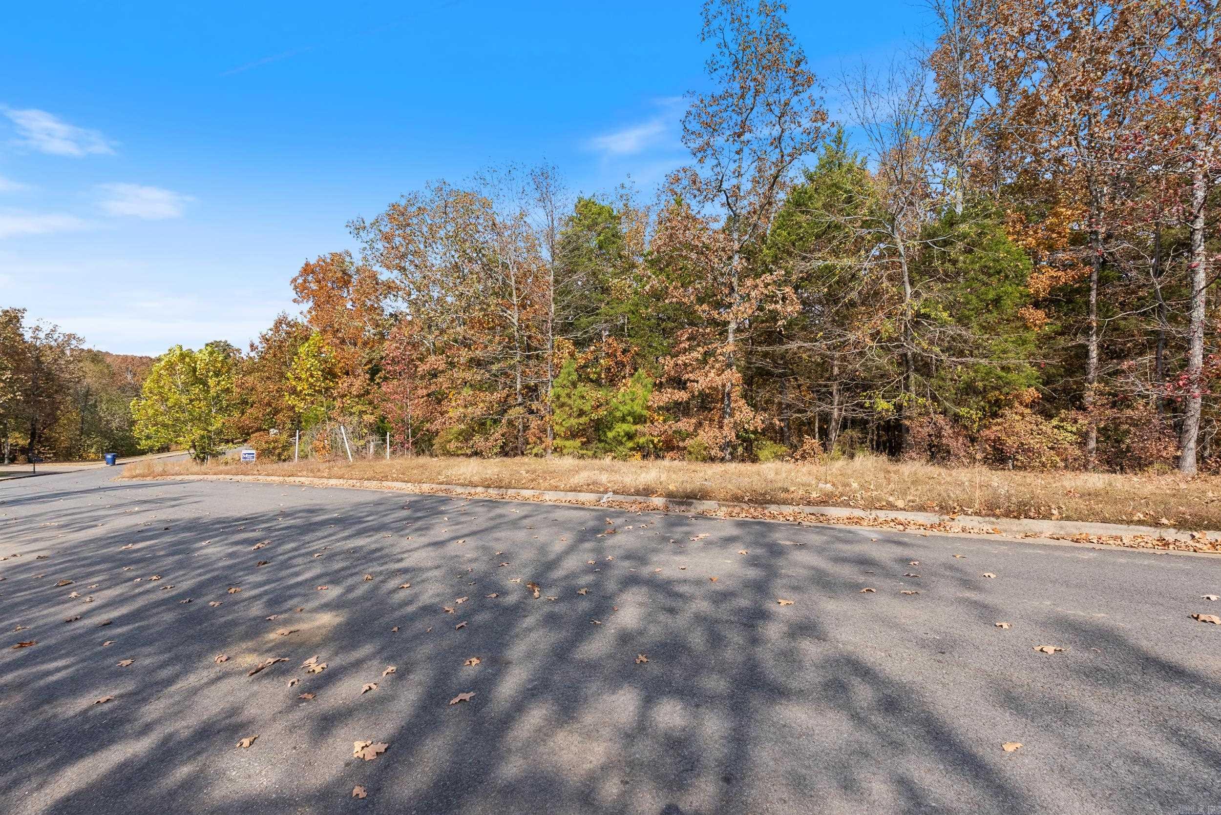 5920  Brush Creek Loop  Conway, AR