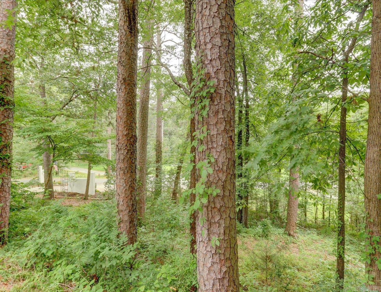 301  Kleinshore Rd #19  Hot Springs, AR