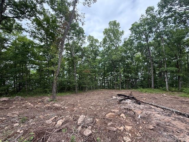 65  Elrod Drive  Greers Ferry, AR