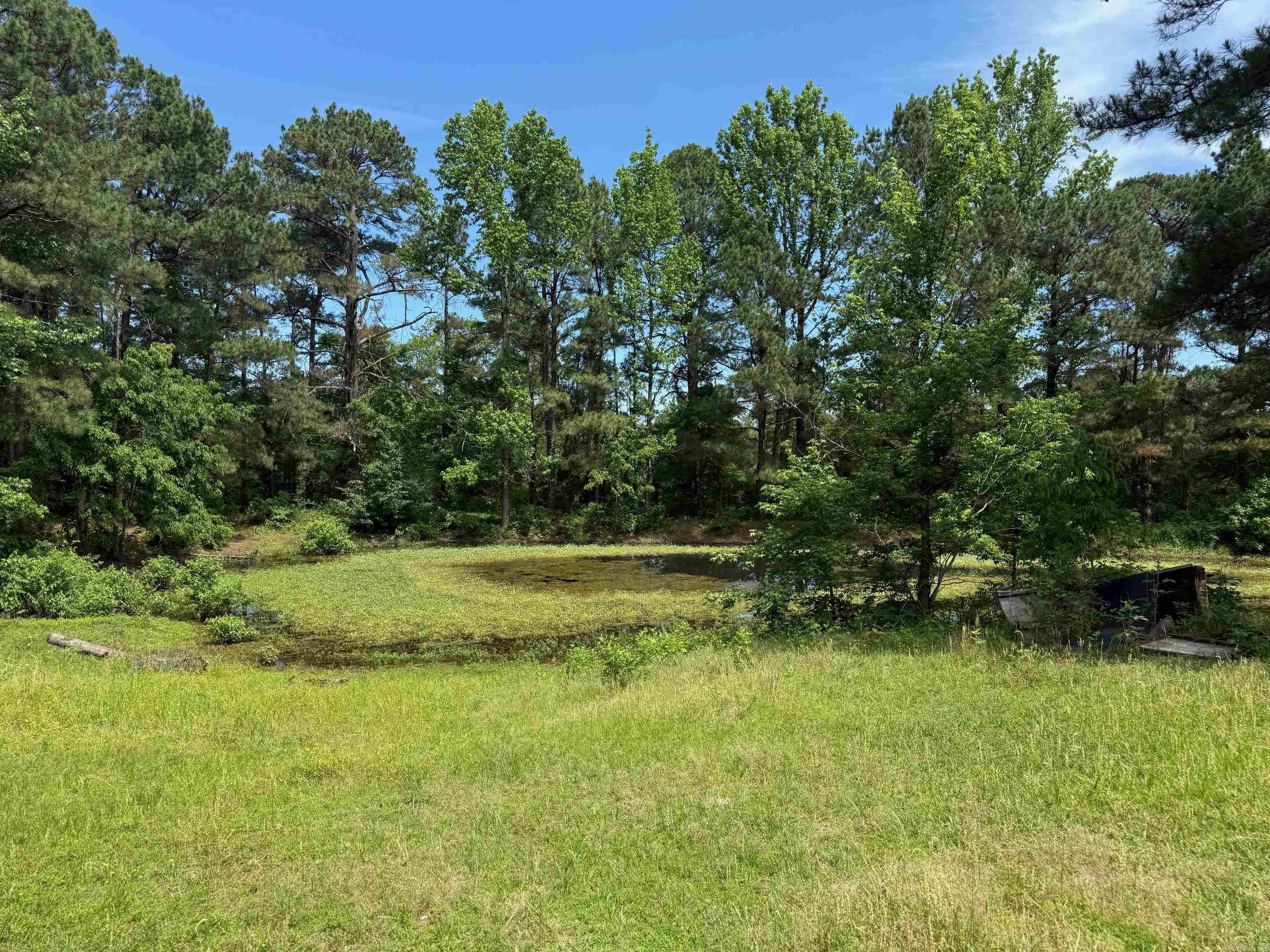 TBD  Lucky Pine  Donaldson, AR