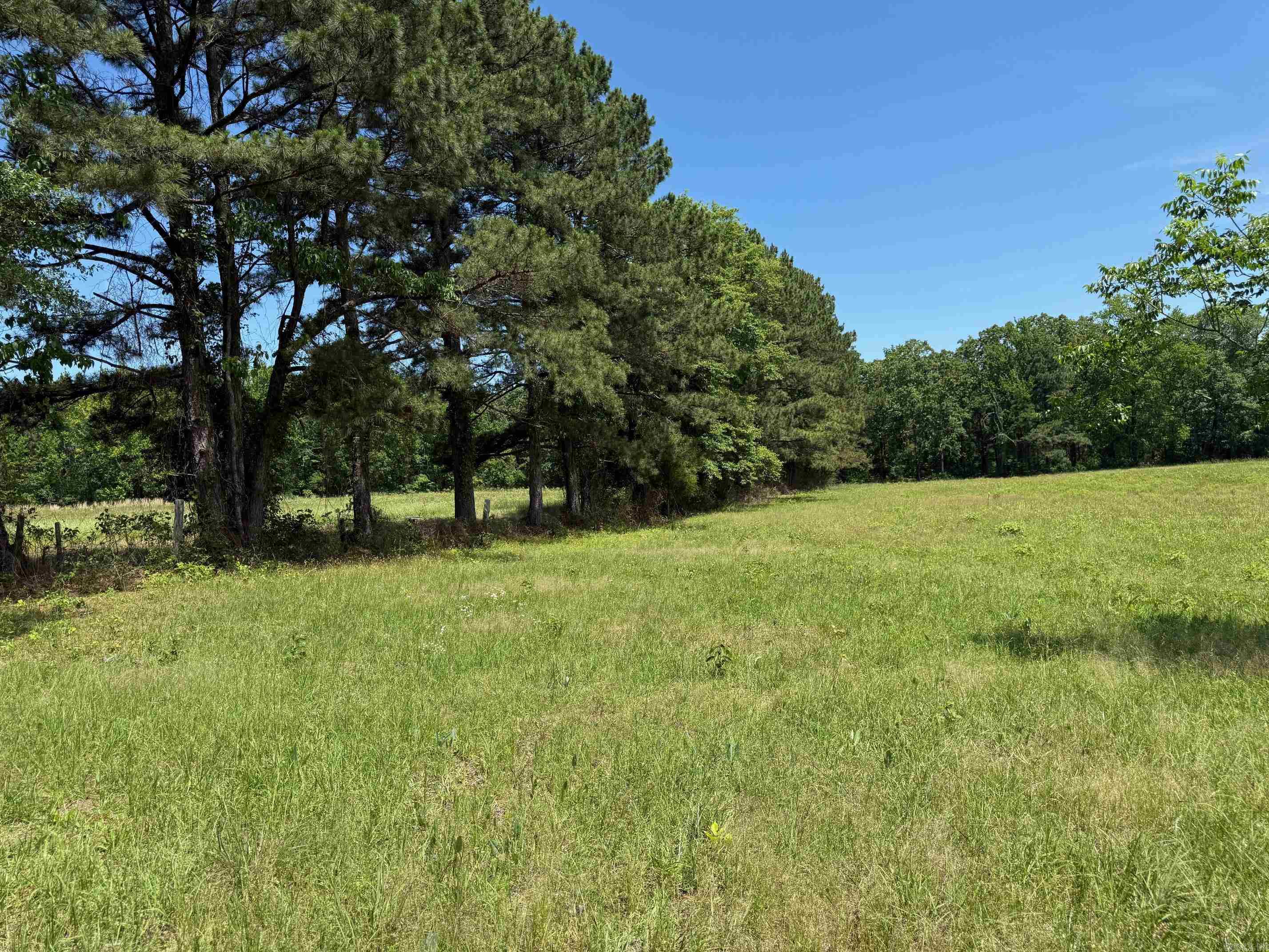 TBD  Lucky Pine  Donaldson, AR