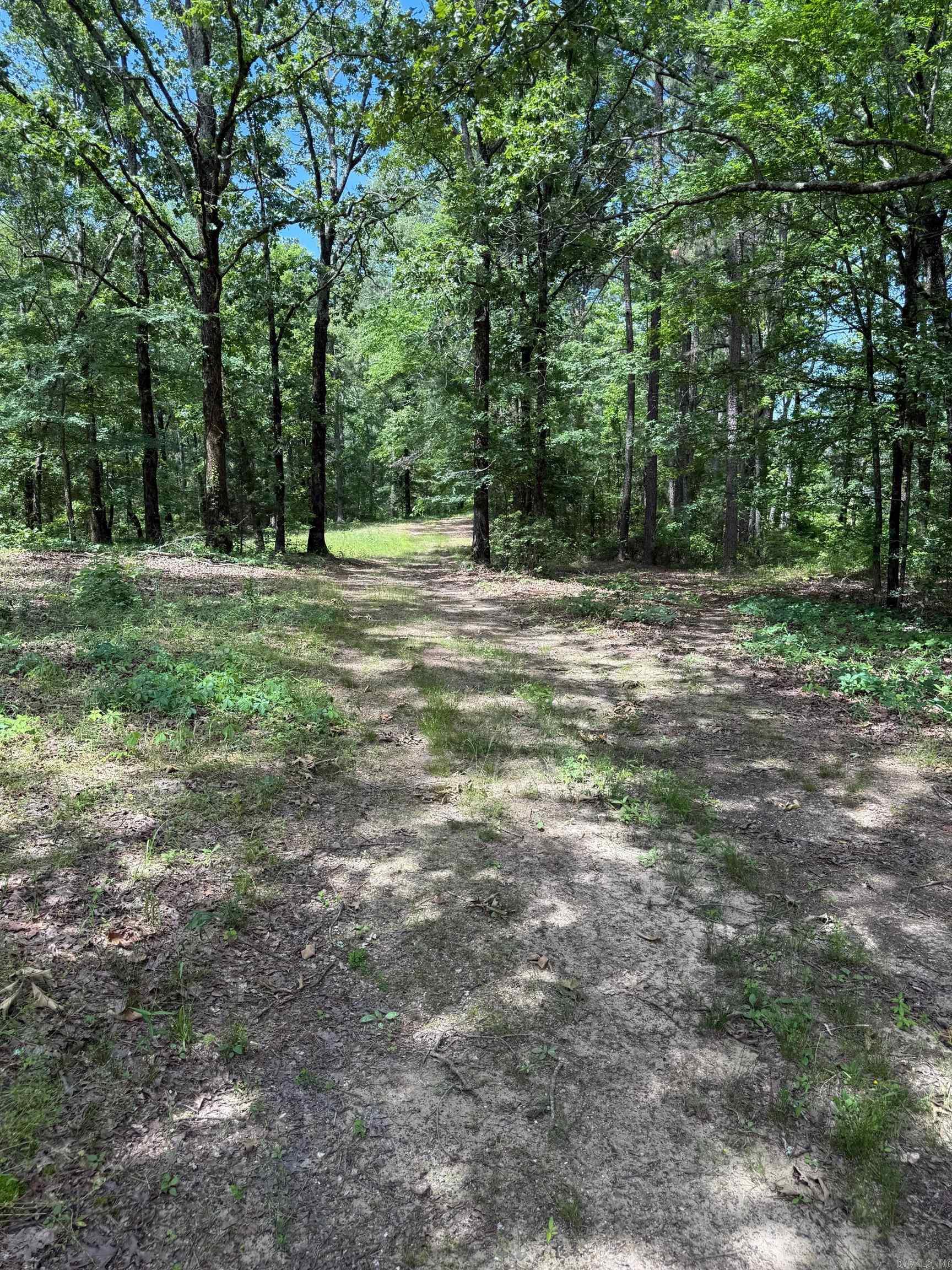 TBD  Lucky Pine  Donaldson, AR