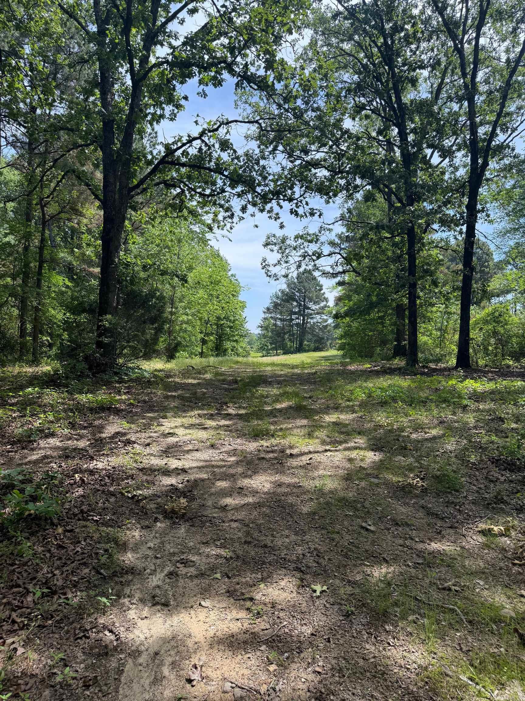 TBD  Lucky Pine  Donaldson, AR