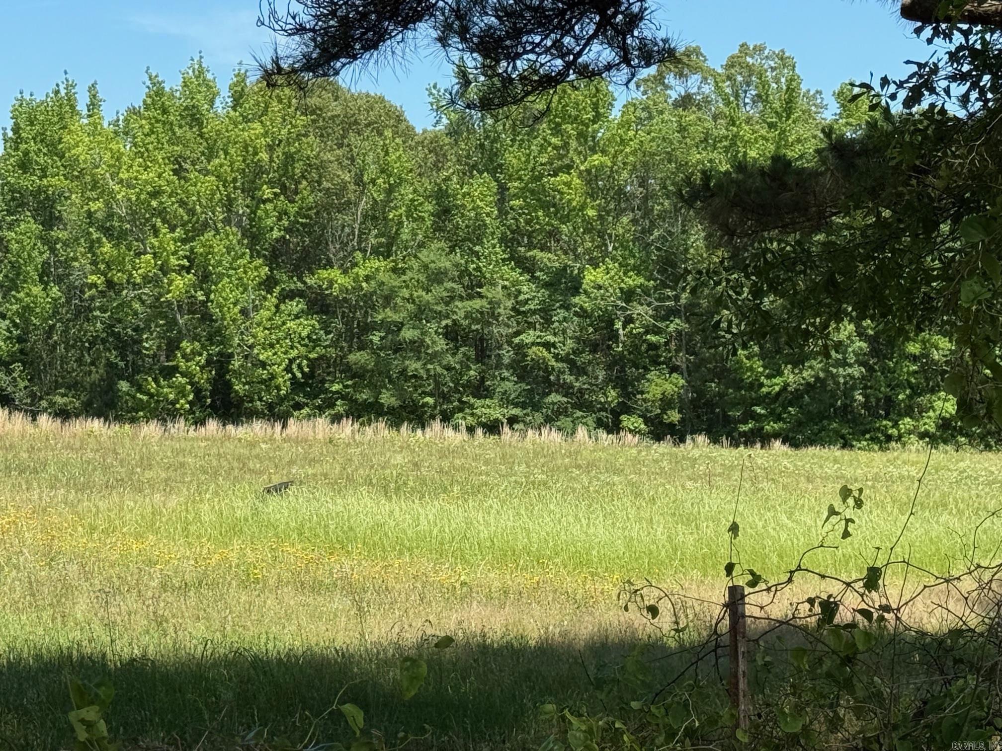 TBD  Lucky Pine  Donaldson, AR