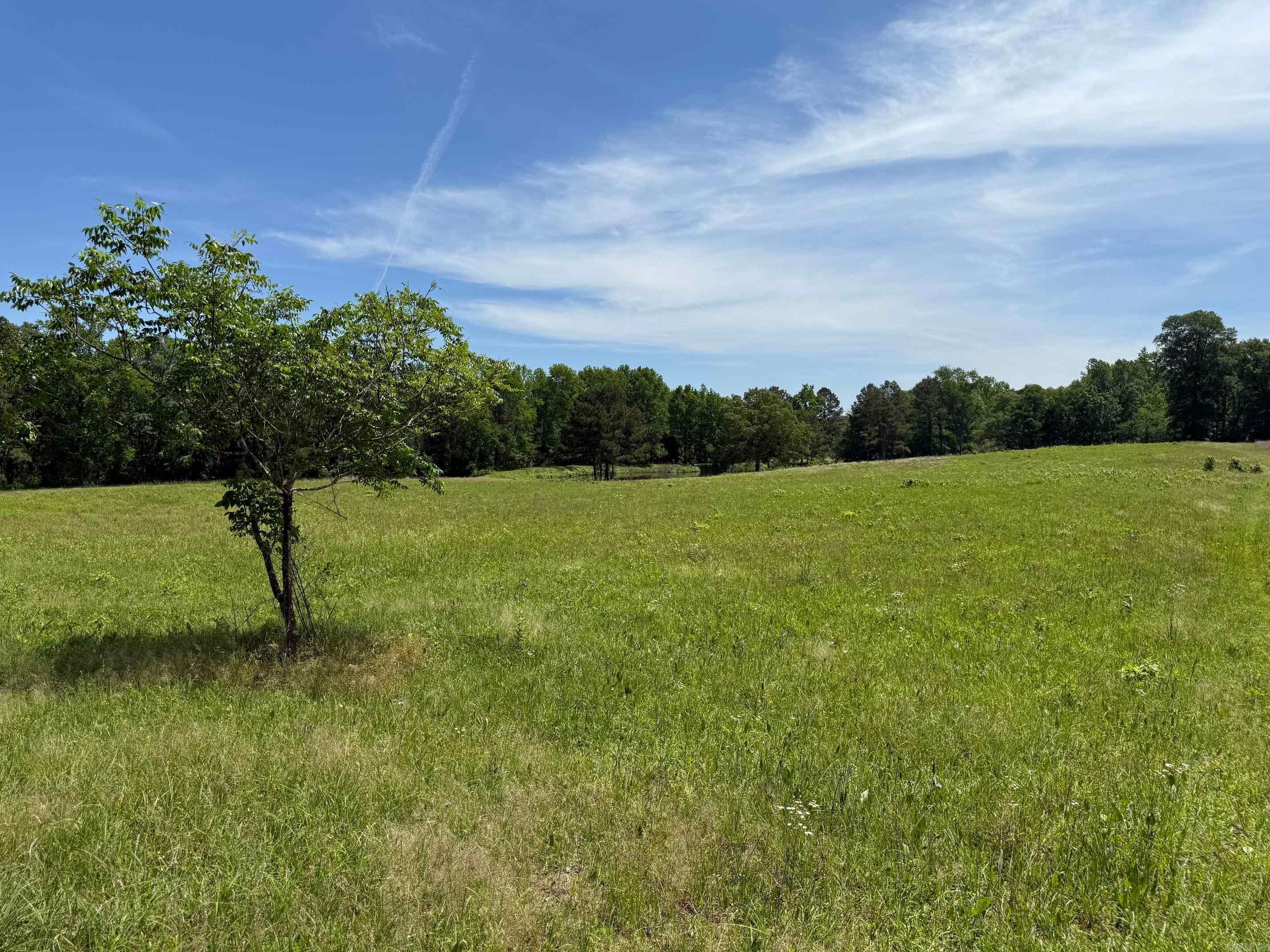 TBD  Lucky Pine  Donaldson, AR