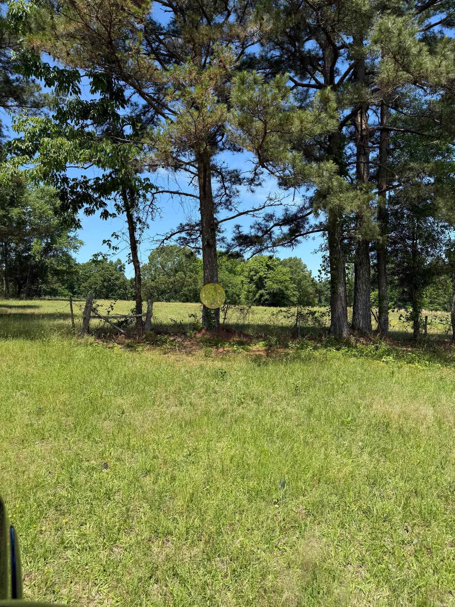 TBD  Lucky Pine  Donaldson, AR