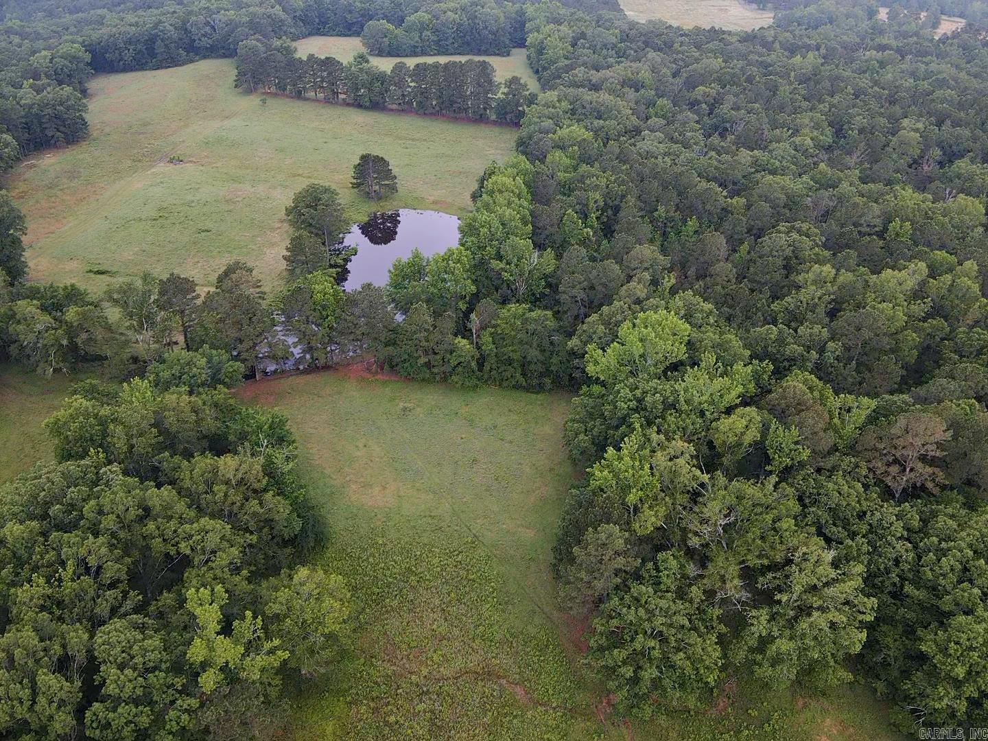 TBD  Lucky Pine  Donaldson, AR