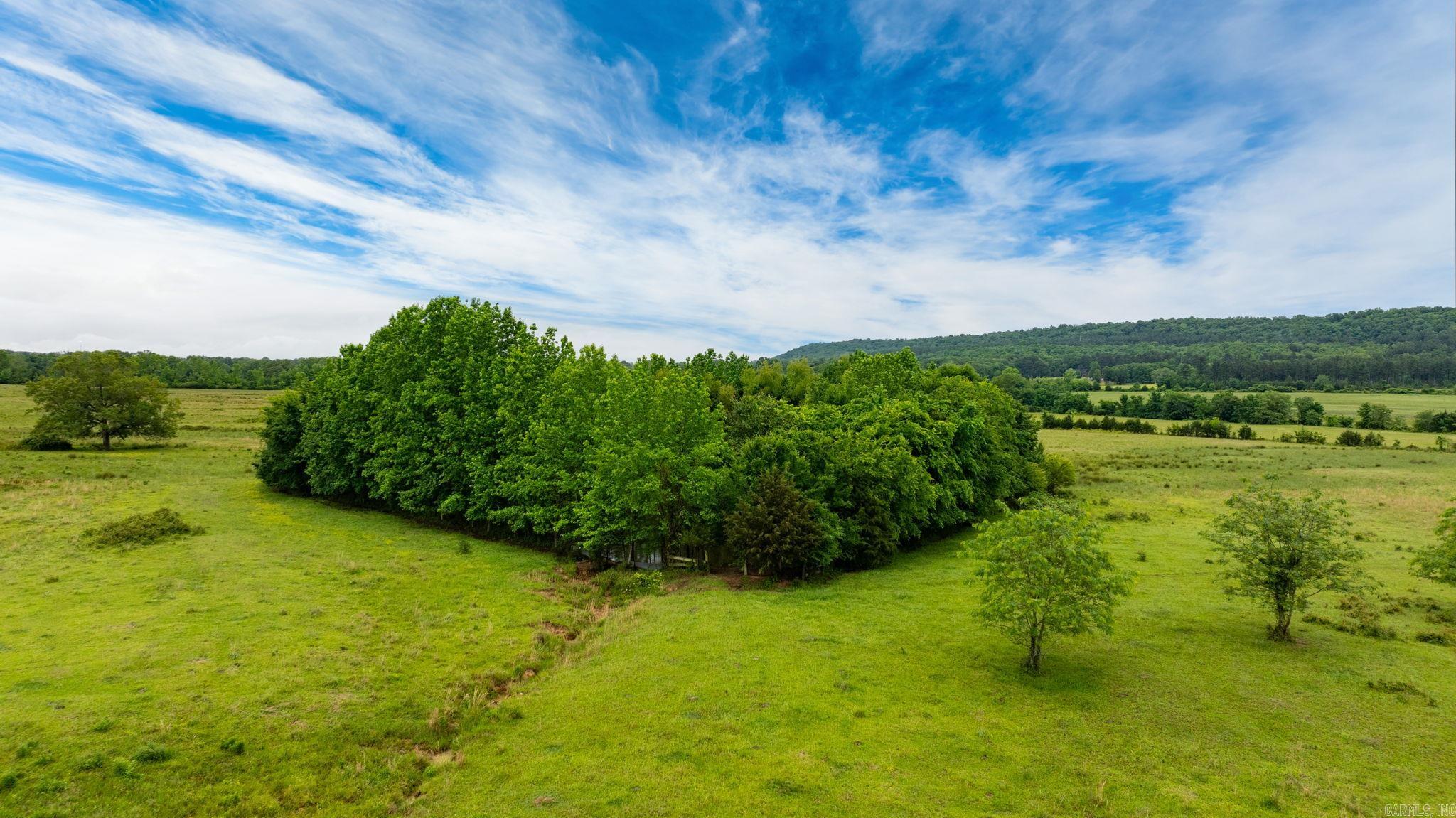 Tract 1  Castleberry  Greenbrier, AR