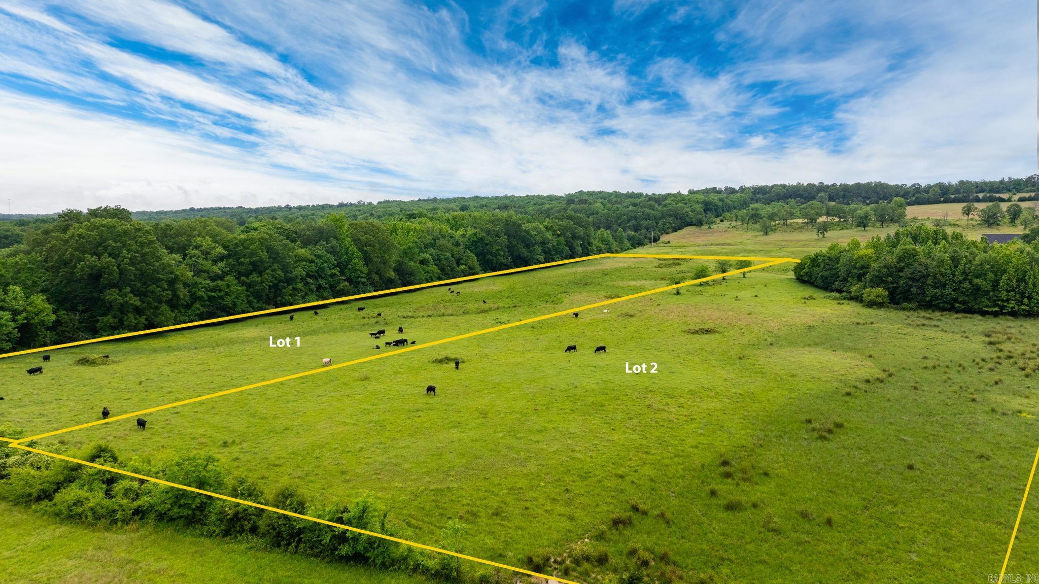 Tract 2  Castleberry  Greenbrier, AR