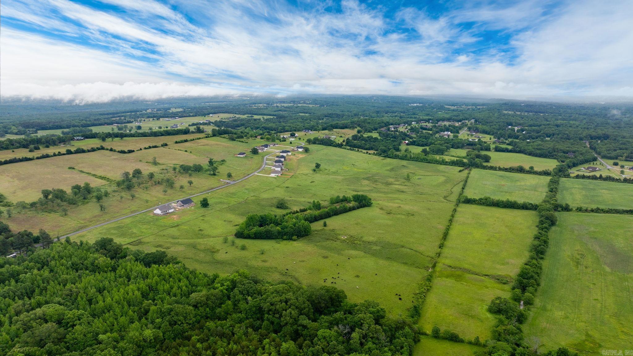 Tract 5  Castleberry  Greenbrier, AR