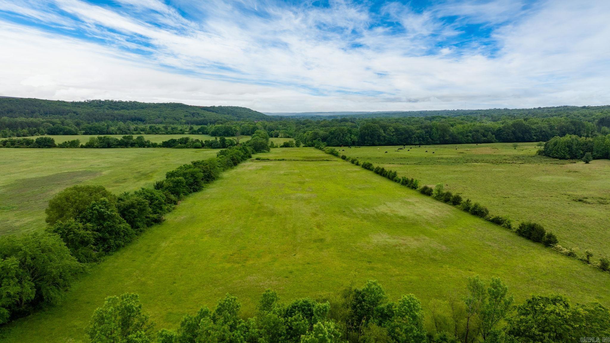 Tract 5  Castleberry  Greenbrier, AR