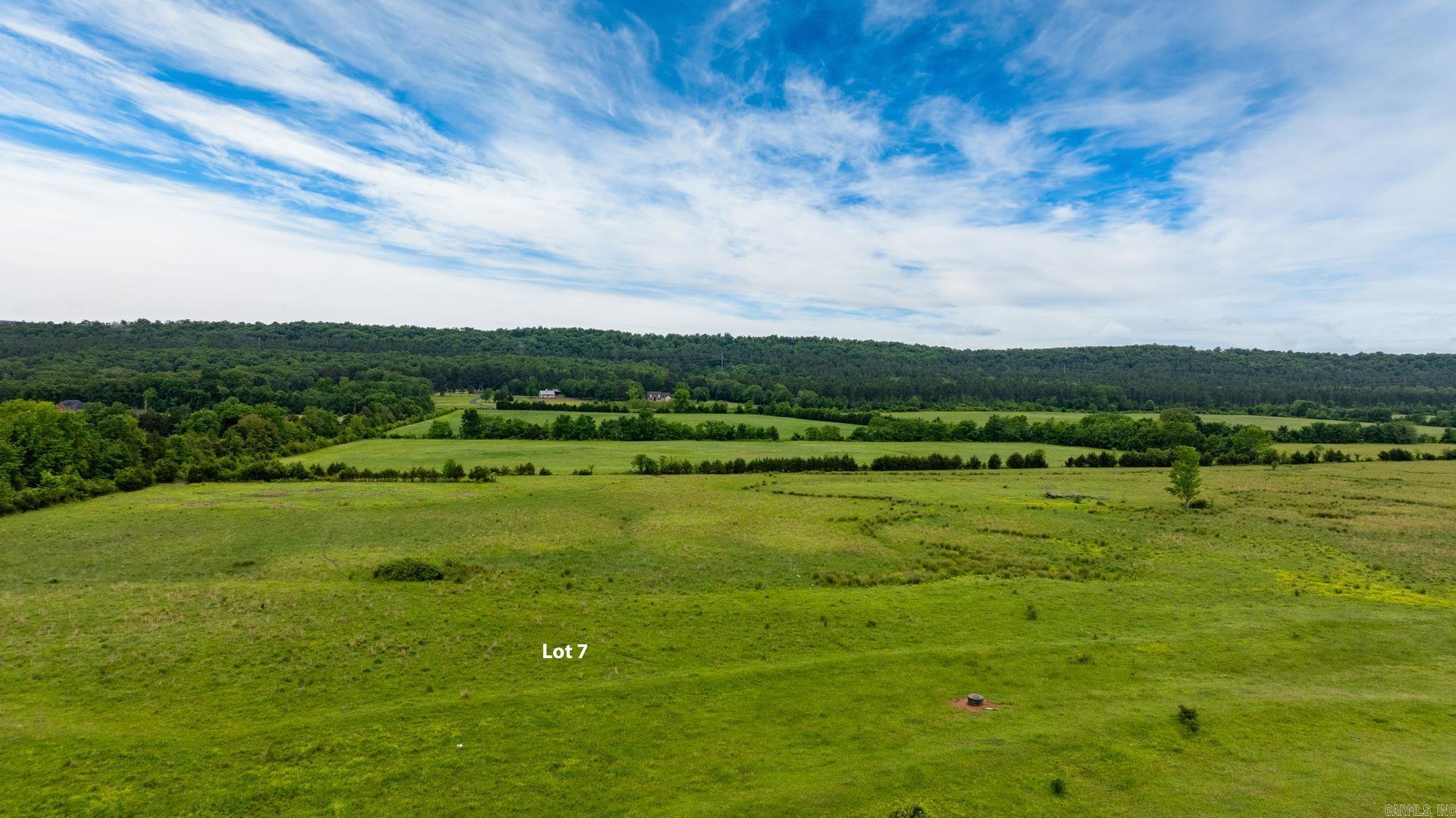 Tract 7  Castleberry  Greenbrier, AR