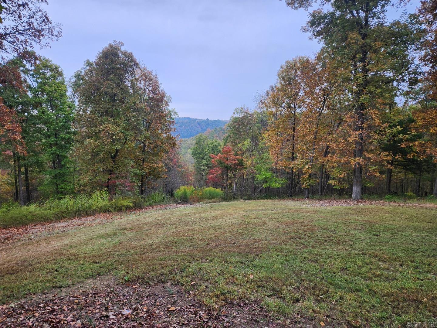 3227 Red Bluff  Marshall, AR