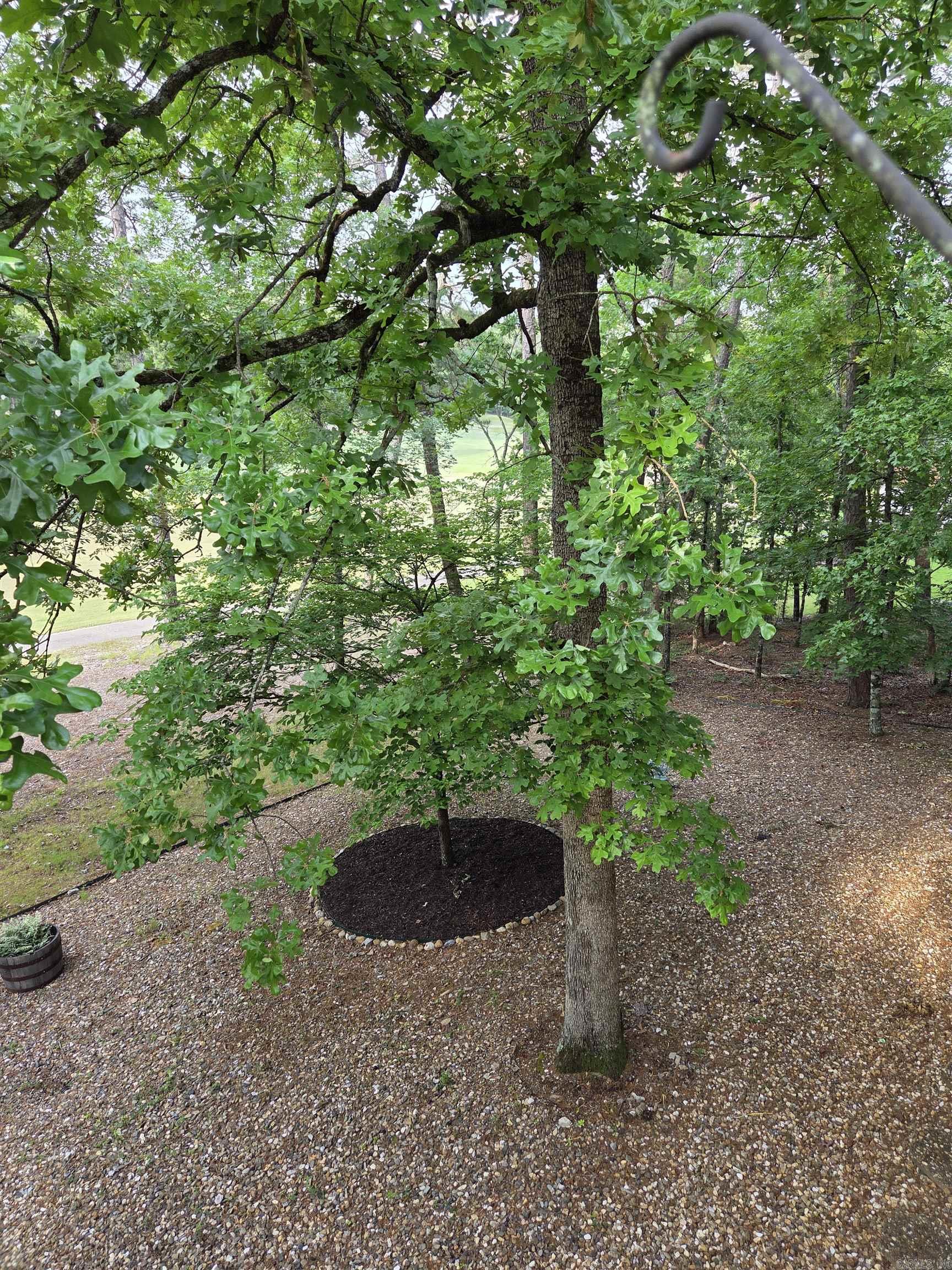 76  Justa Via  Hot Springs Village, AR