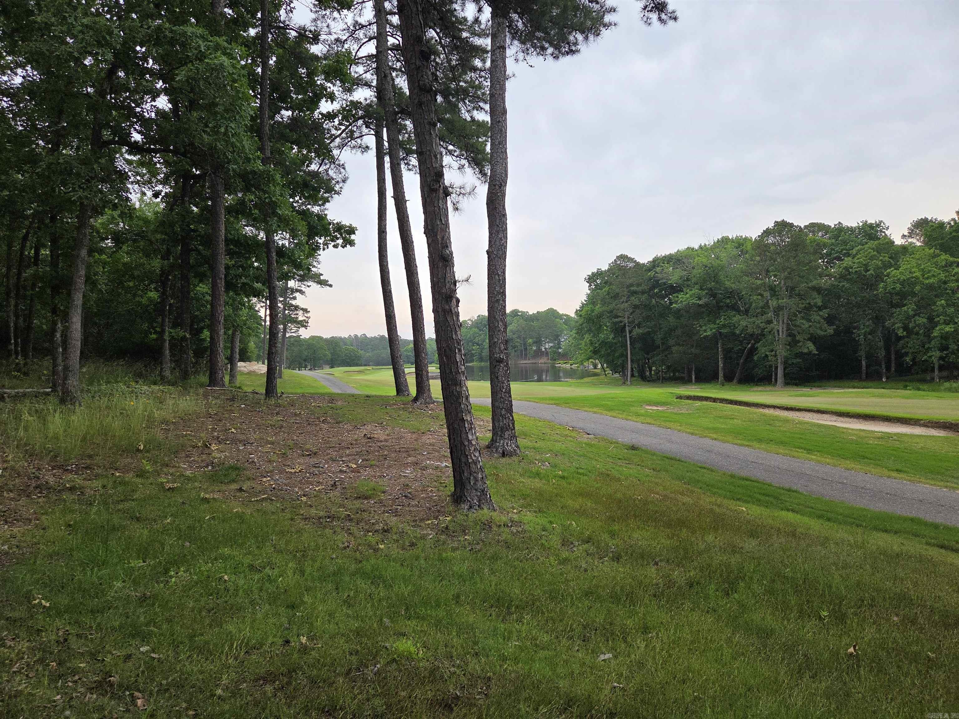 76  Justa Via  Hot Springs Village, AR