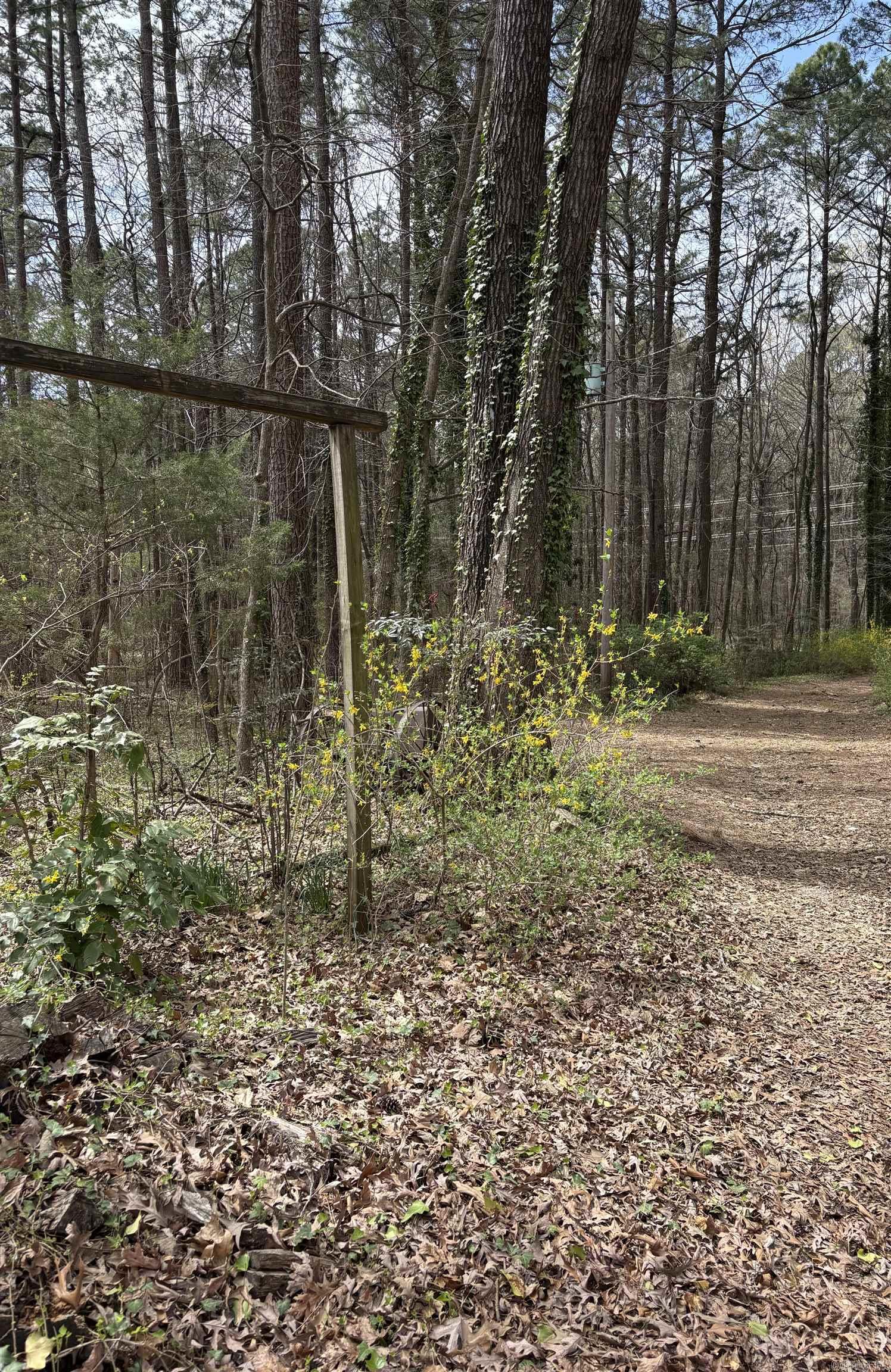 803  Carmichael Rd  Bryant, AR