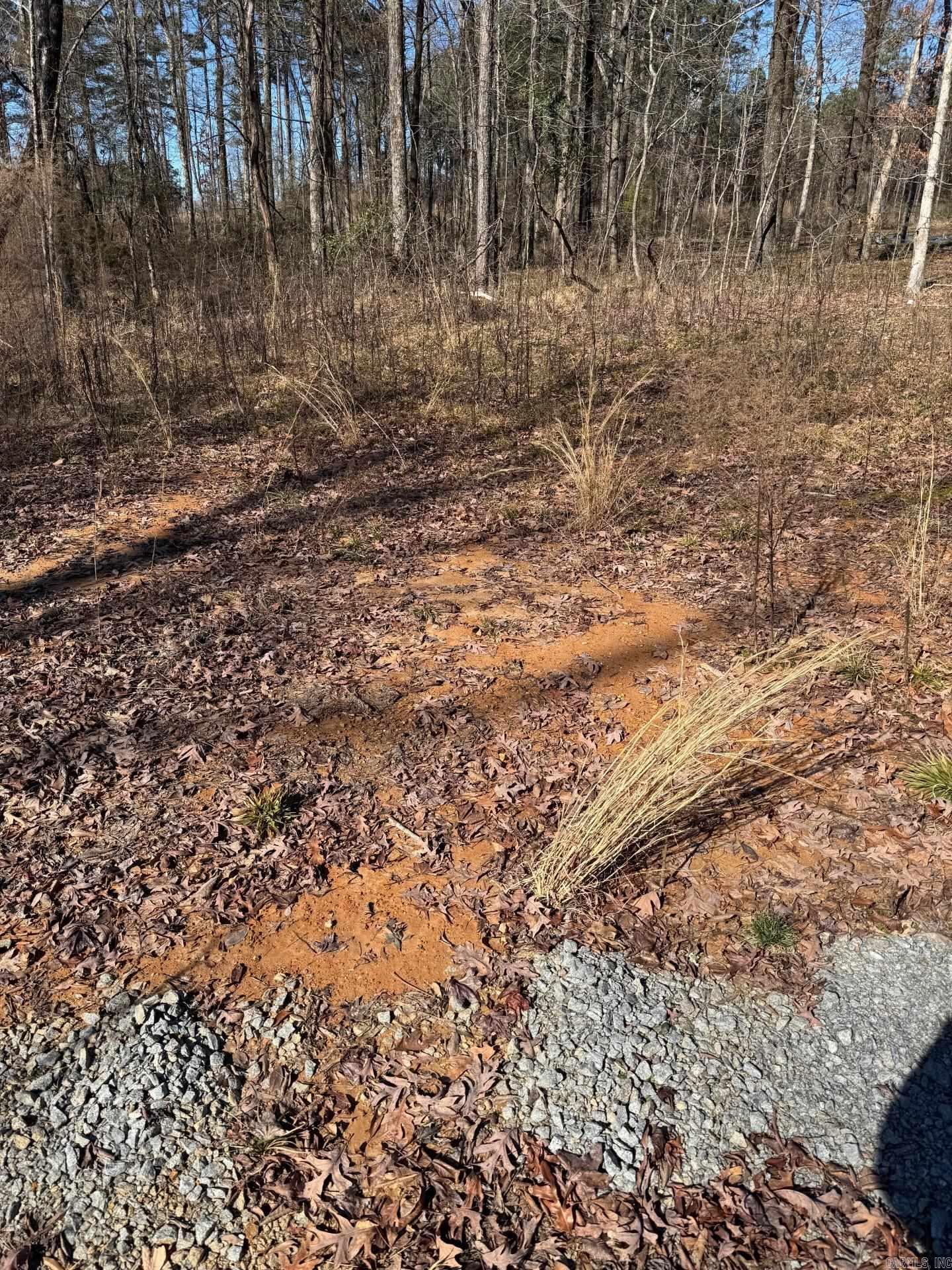 Lot 1  Mount Olive  Bauxite, AR