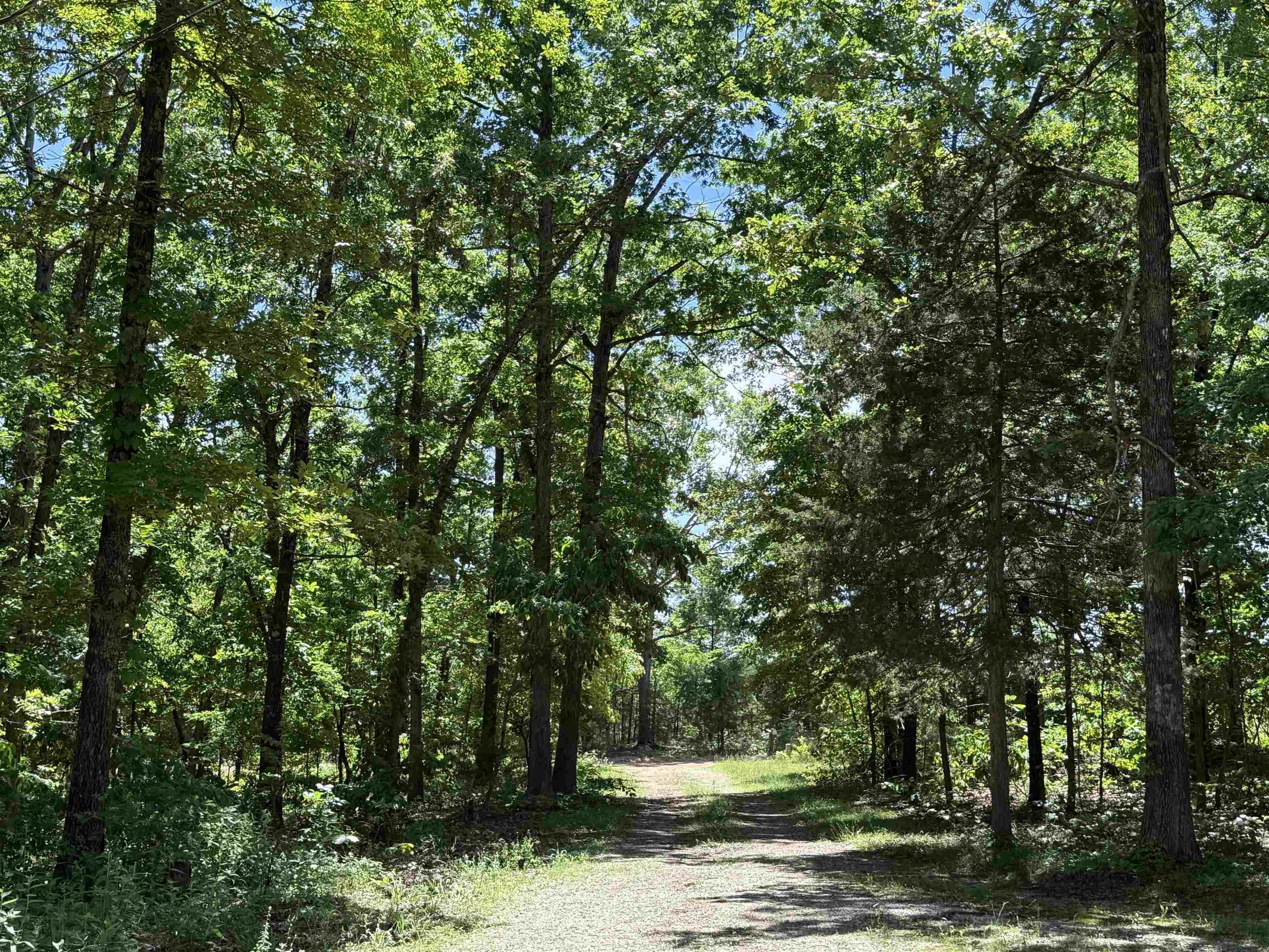 675  Browns Creek Road  Ravenden, AR