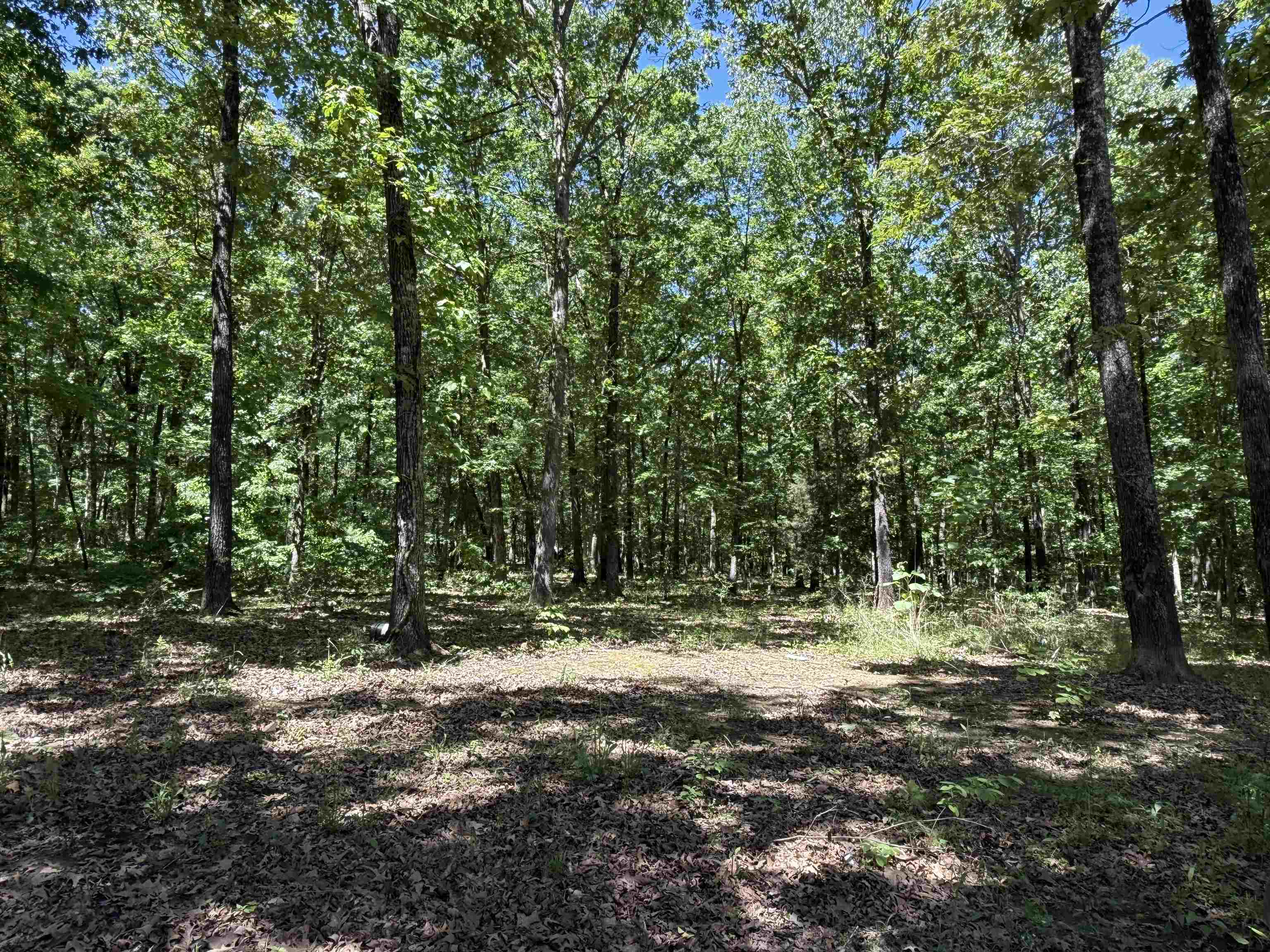 675  Browns Creek Road  Ravenden, AR