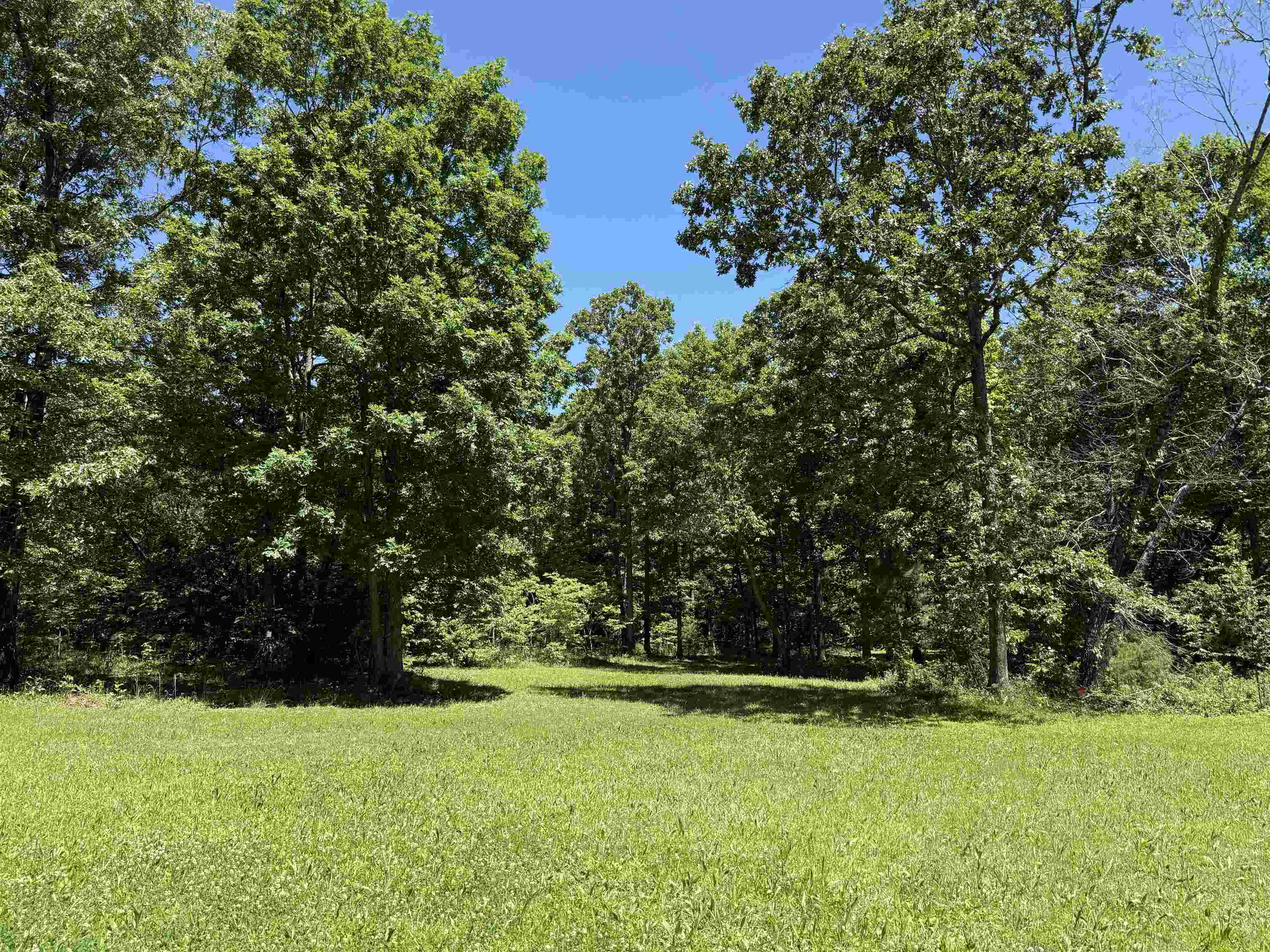 675  Browns Creek Road  Ravenden, AR