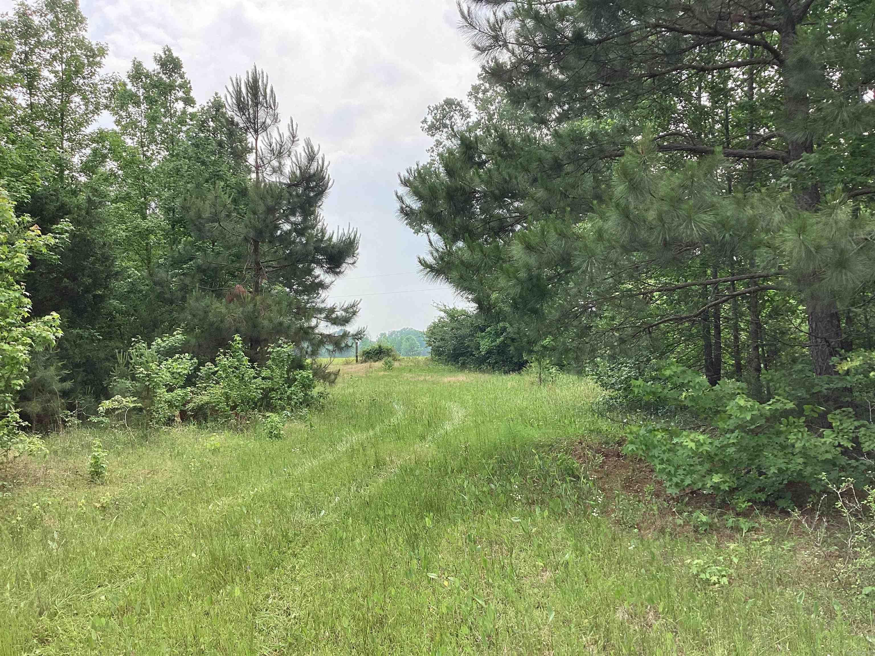 1006  Hempstead 24  Blevins, AR