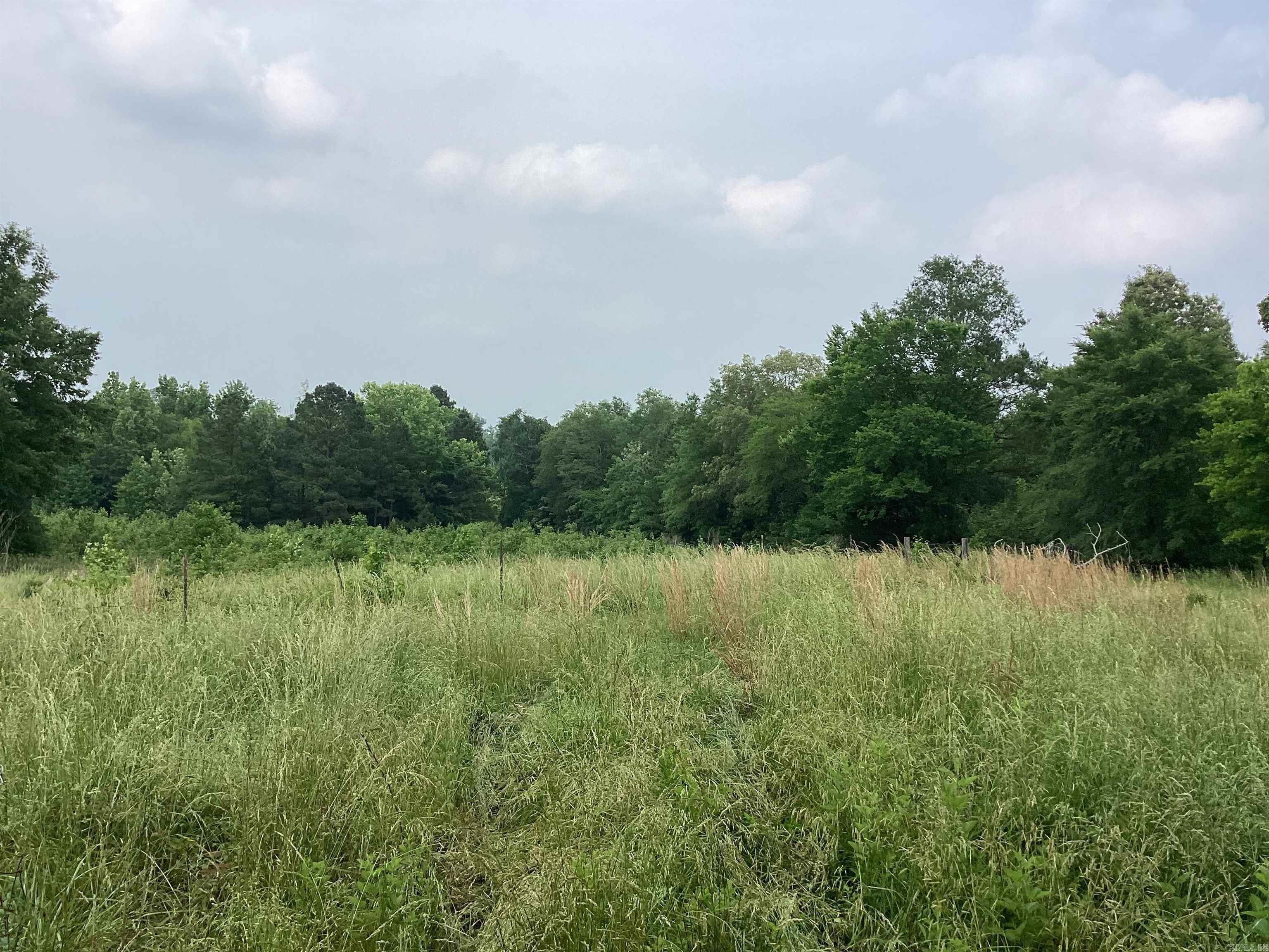 1006  Hempstead 24  Blevins, AR
