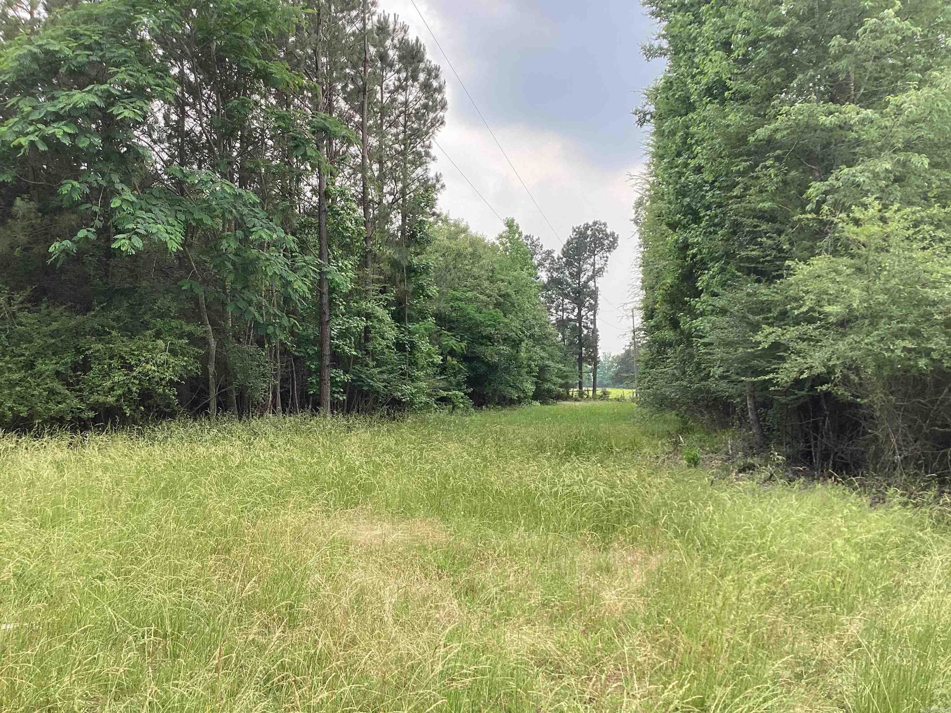 1006  Hempstead 24  Blevins, AR