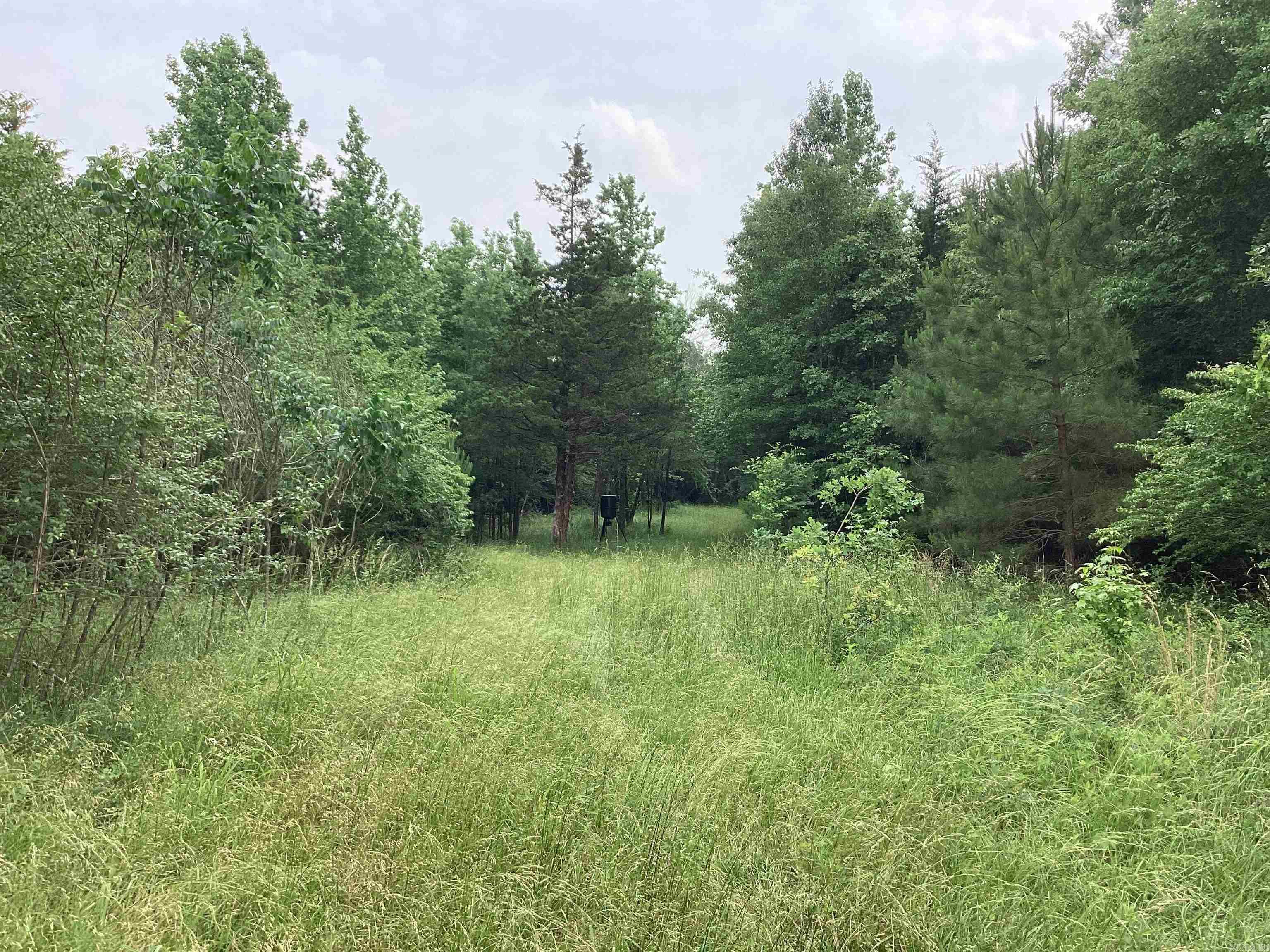 1006  Hempstead 24  Blevins, AR