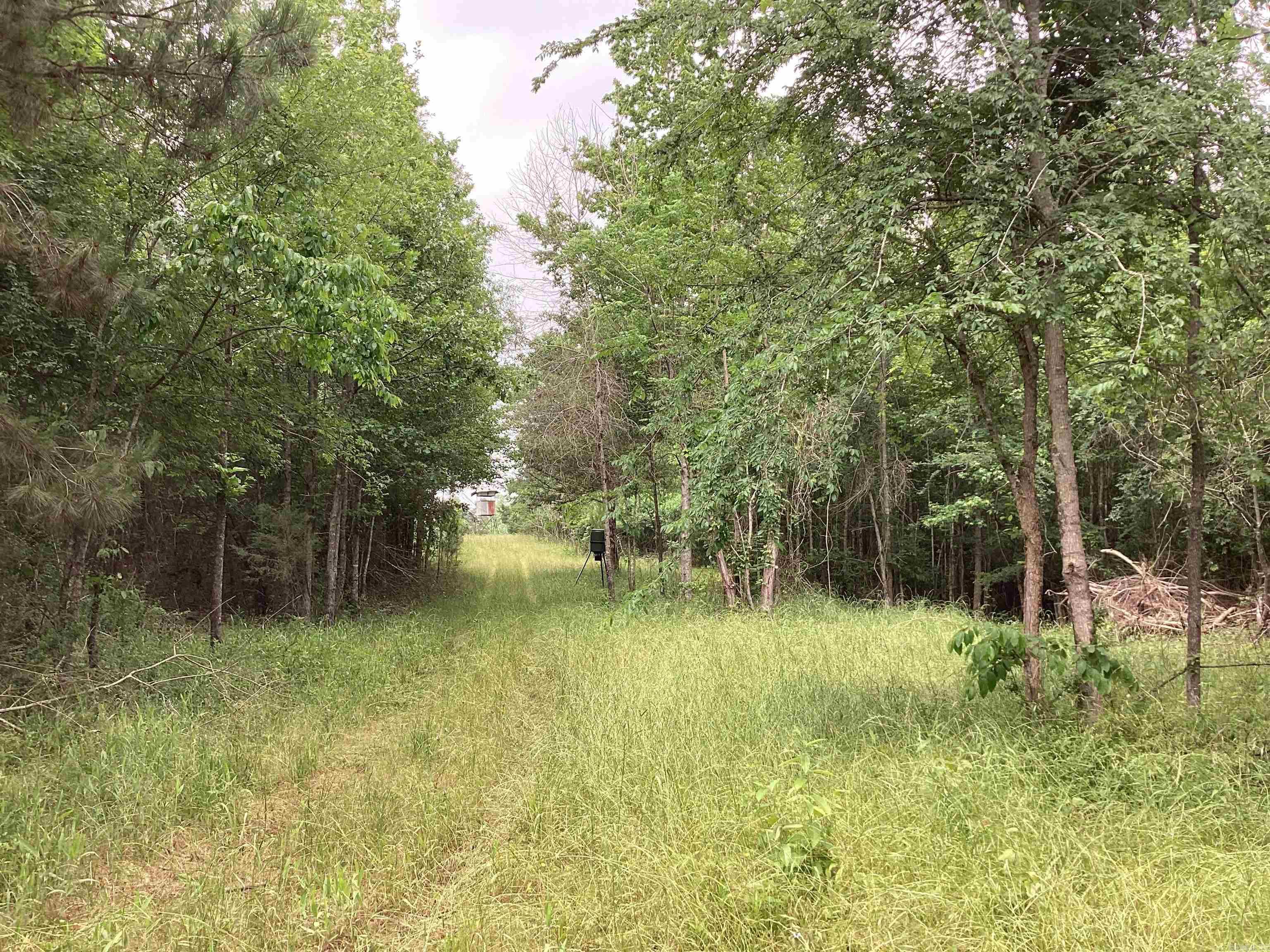 1006  Hempstead 24  Blevins, AR