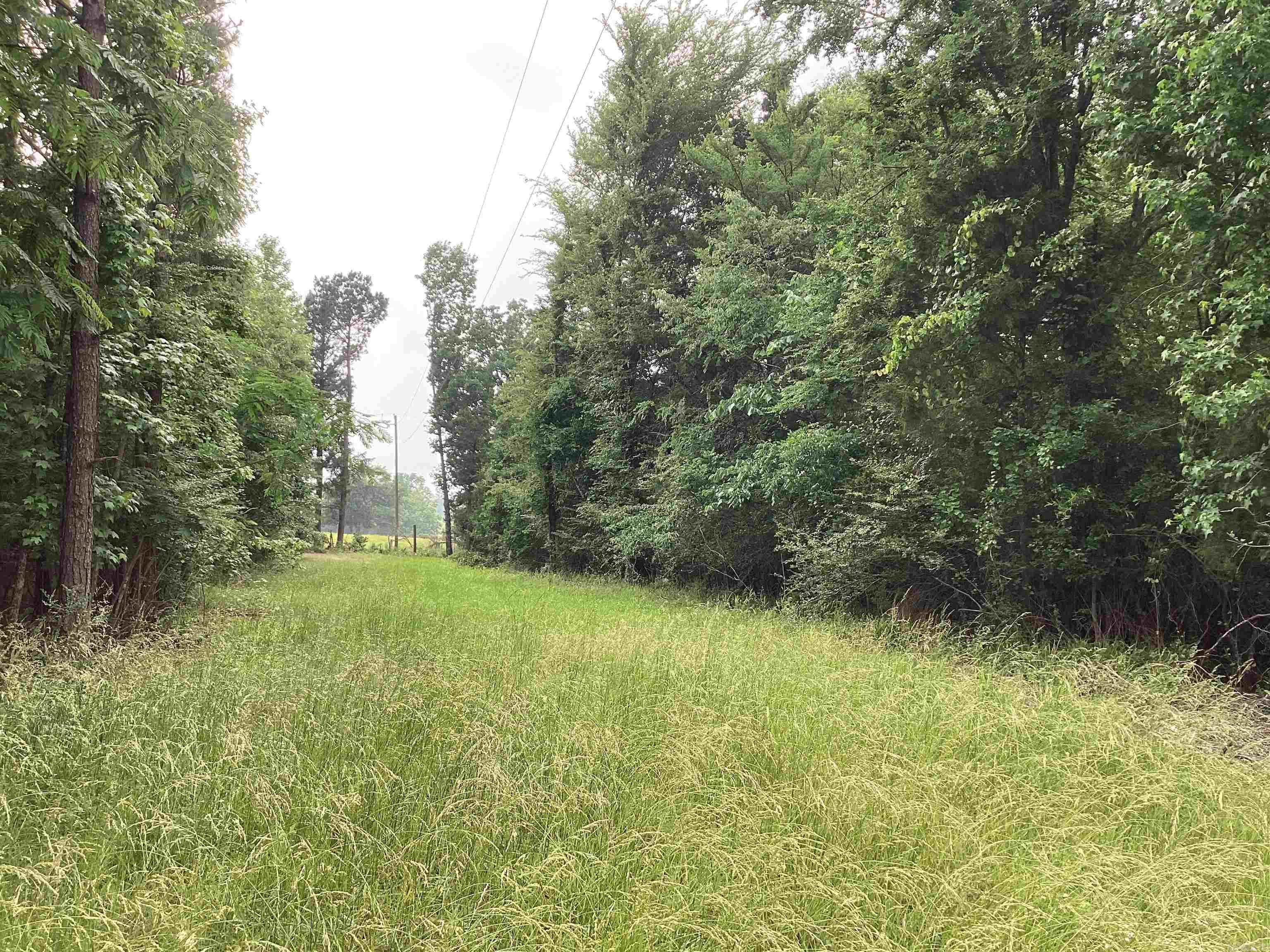 1006  Hempstead 24  Blevins, AR