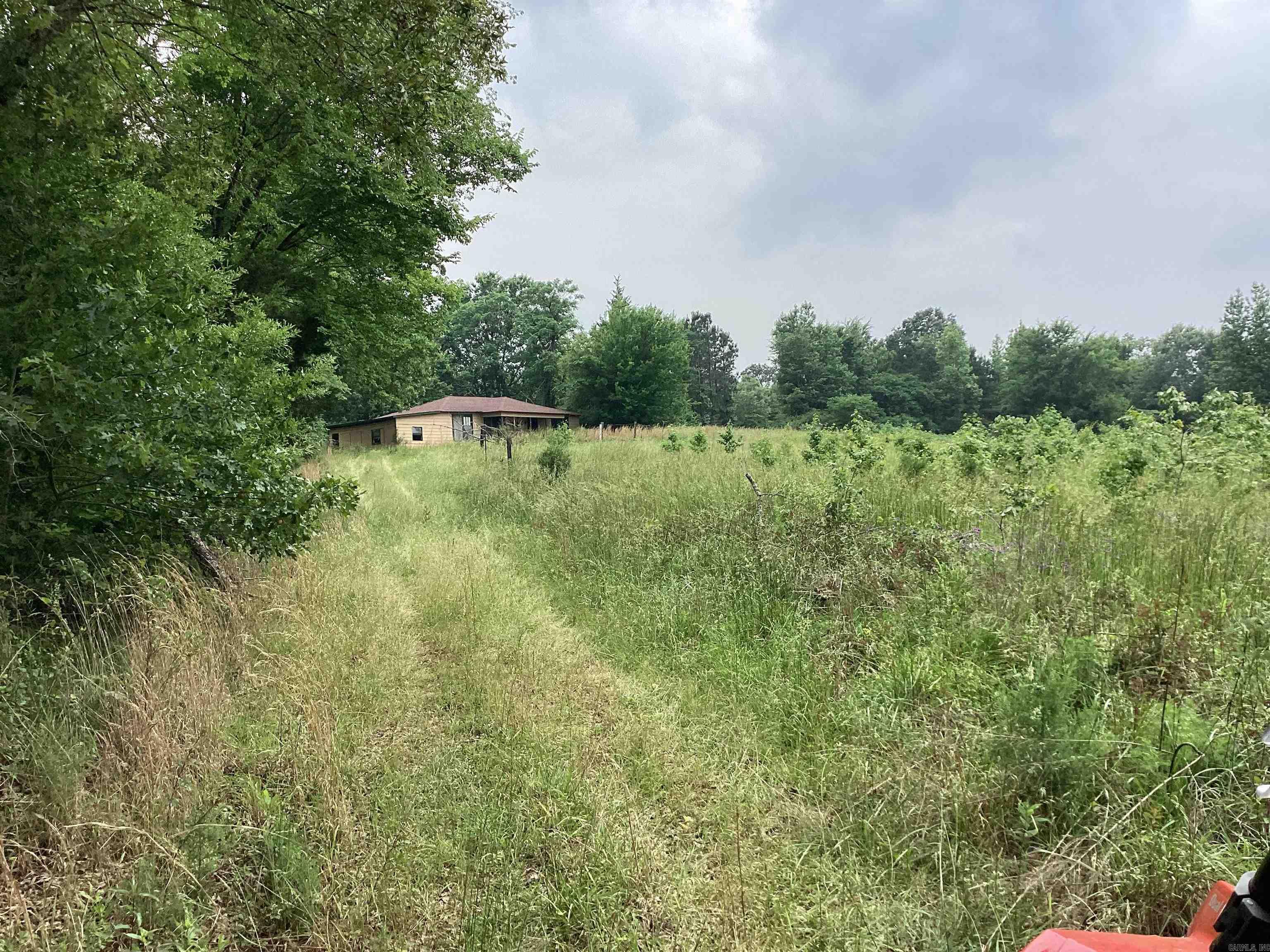 1006  Hempstead 24  Blevins, AR