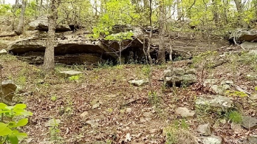 9985  Lick Fork  Witt Springs, AR
