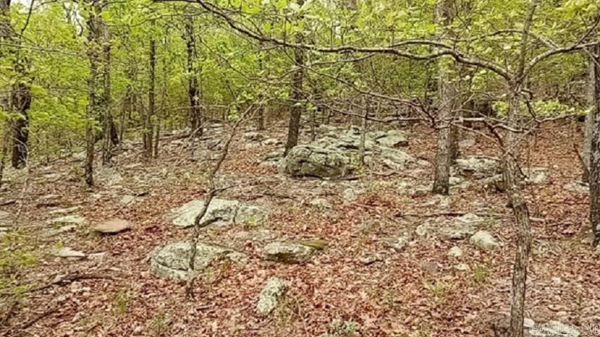 9985  Lick Fork  Witt Springs, AR