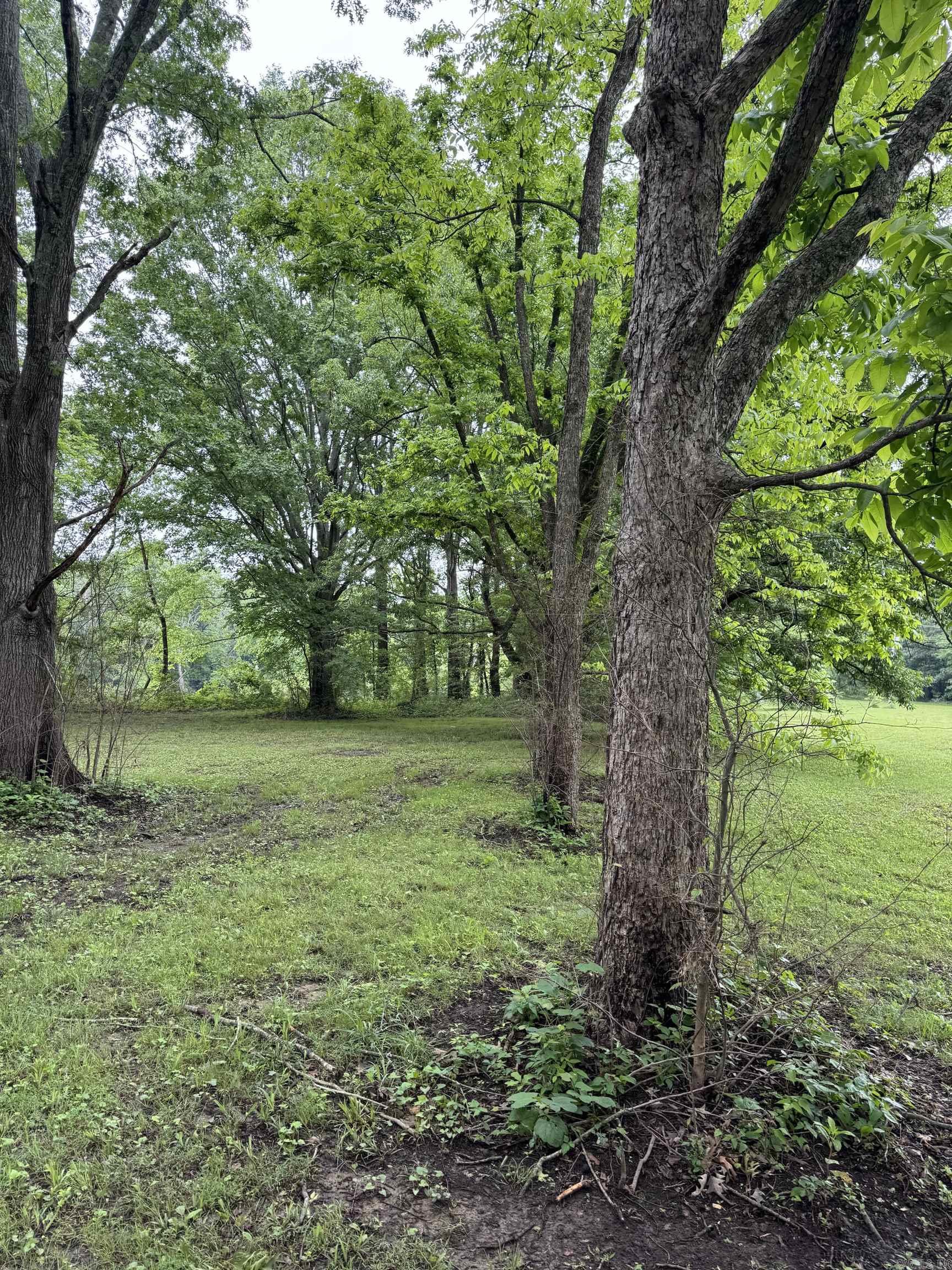 000 S River Rd & Mail Route Rd  West Point, AR