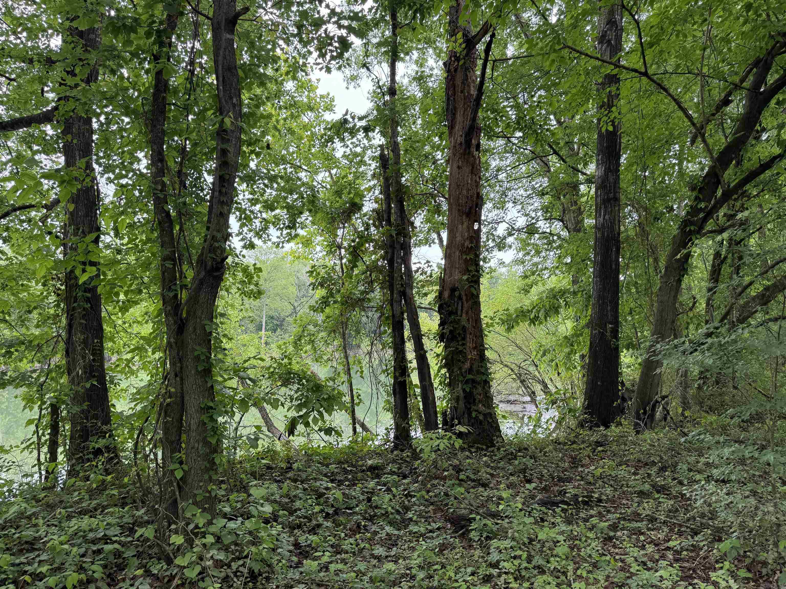 000 S River Rd & Mail Route Rd  West Point, AR