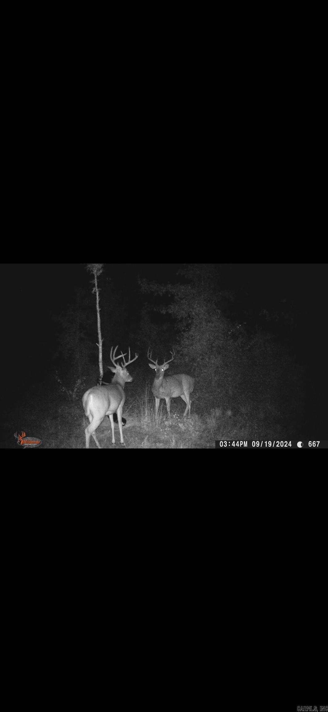 000 S River Rd & Mail Route Rd  West Point, AR