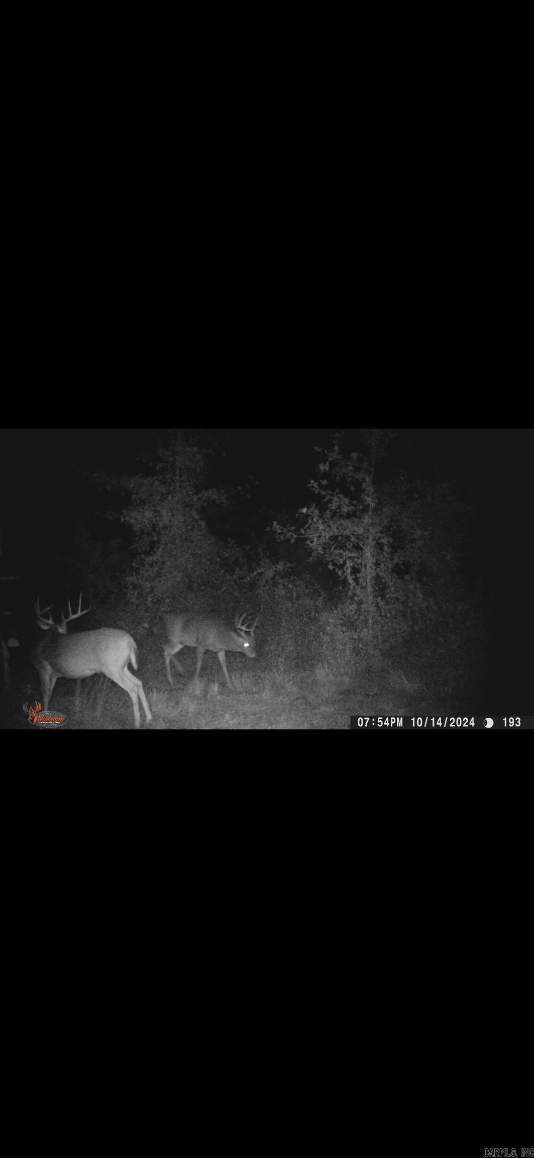 000 S River Rd & Mail Route Rd  West Point, AR