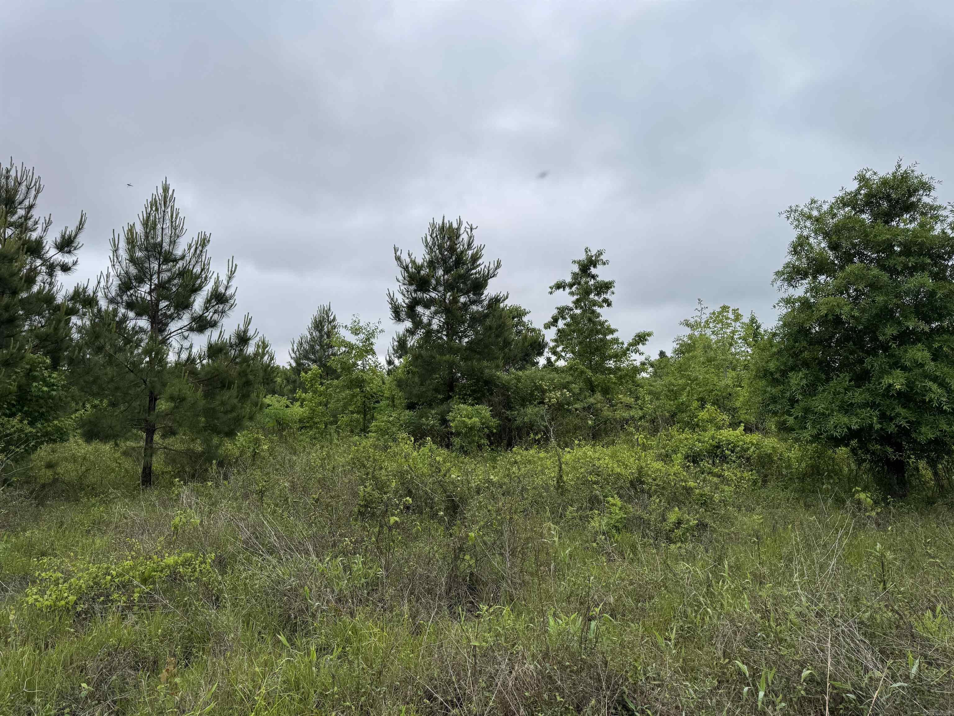000 S River Rd & Mail Route Rd  West Point, AR